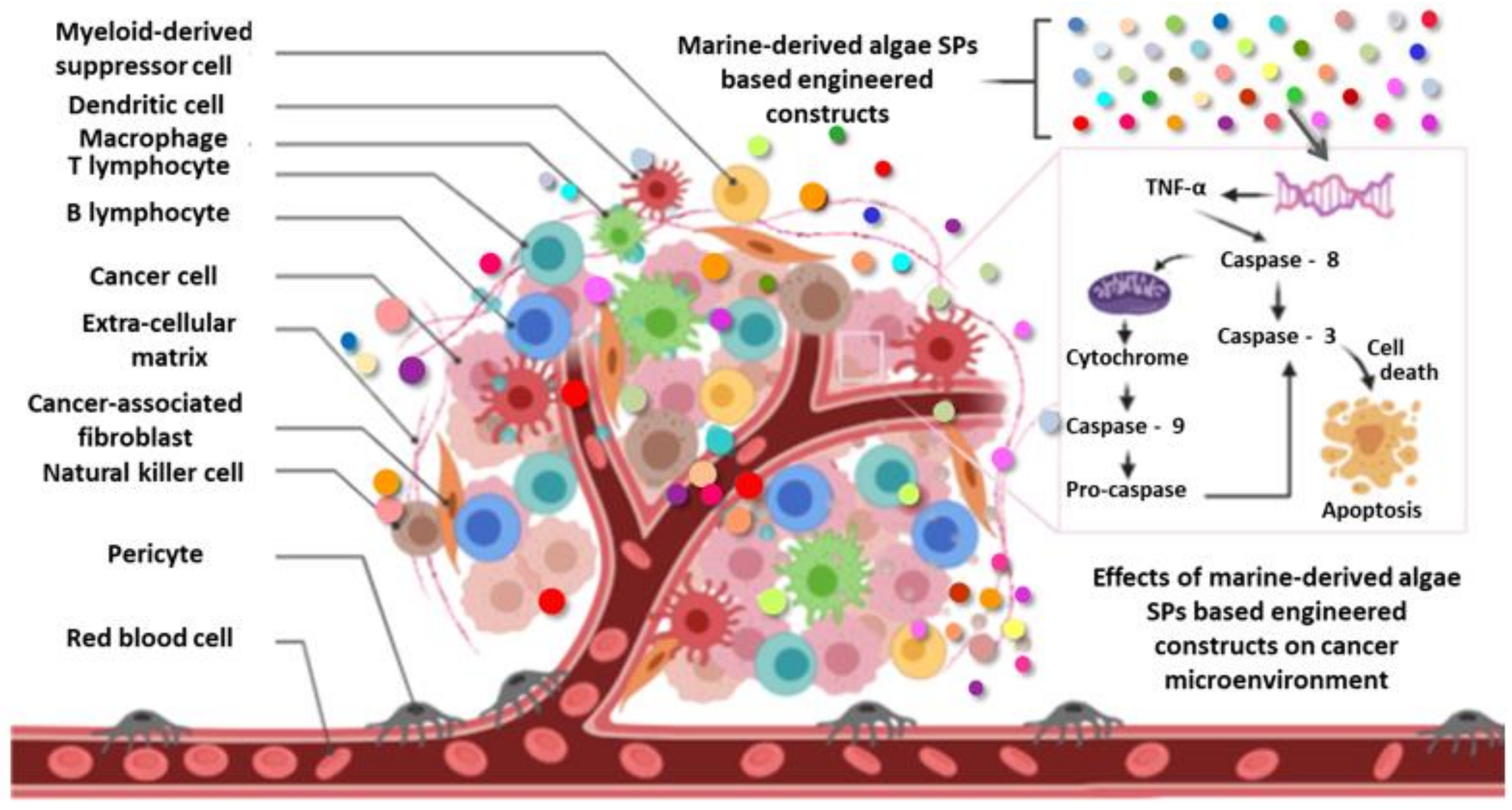 Molecules 25 03152 g013 Molecules 25 03152 g013