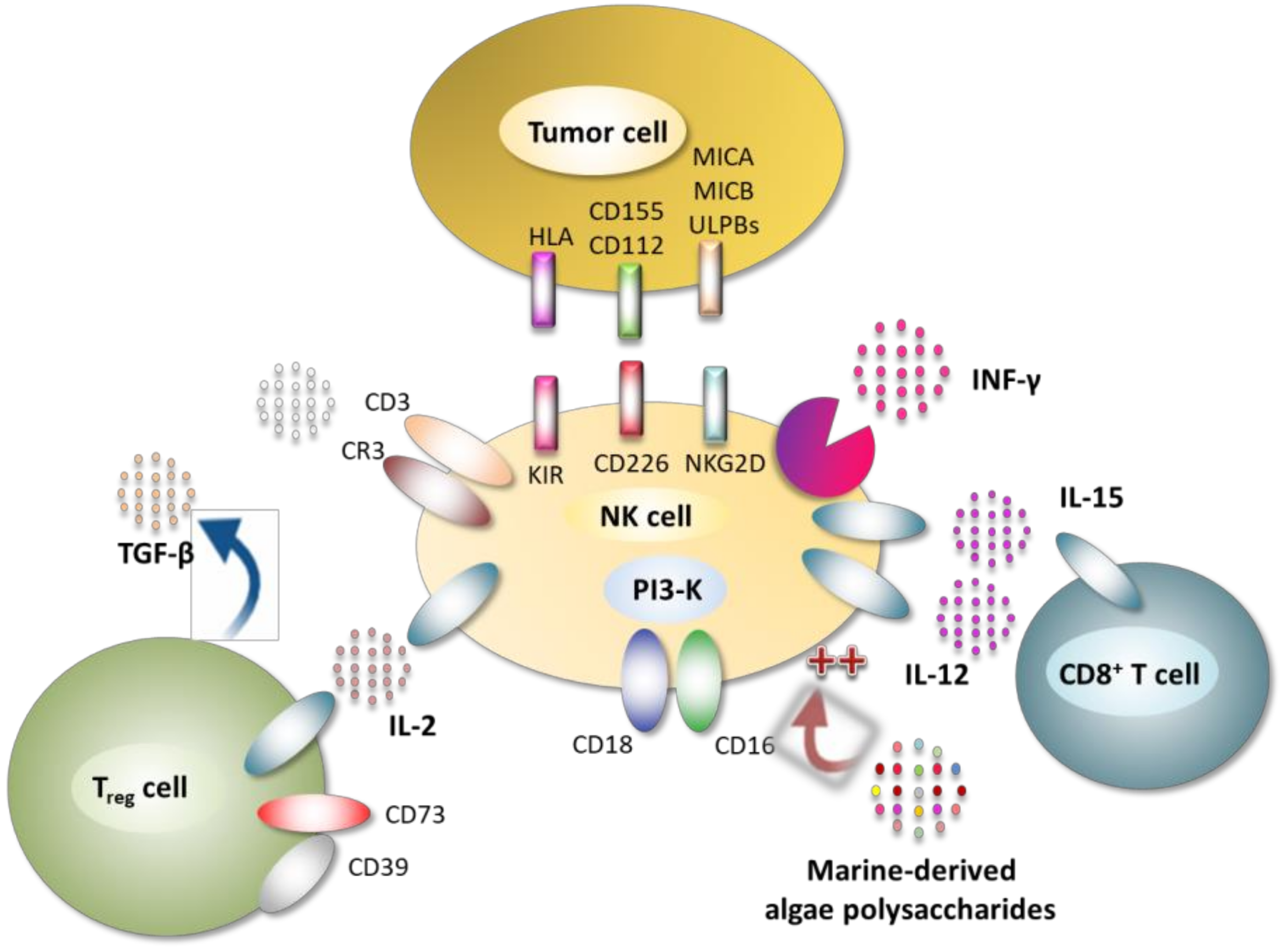 Molecules 25 03152 g014 Molecules 25 03152 g014