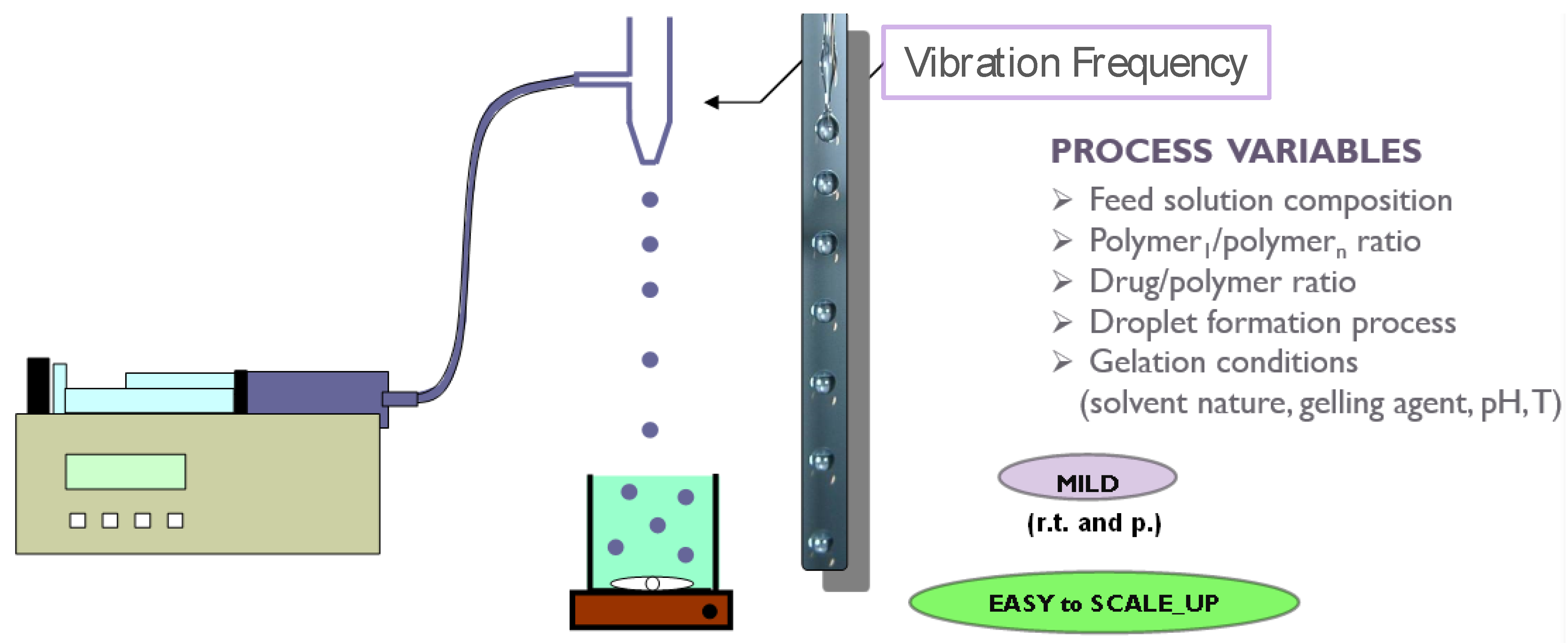 Molecules 25 03156 g003 Molecules 25 03156 g003