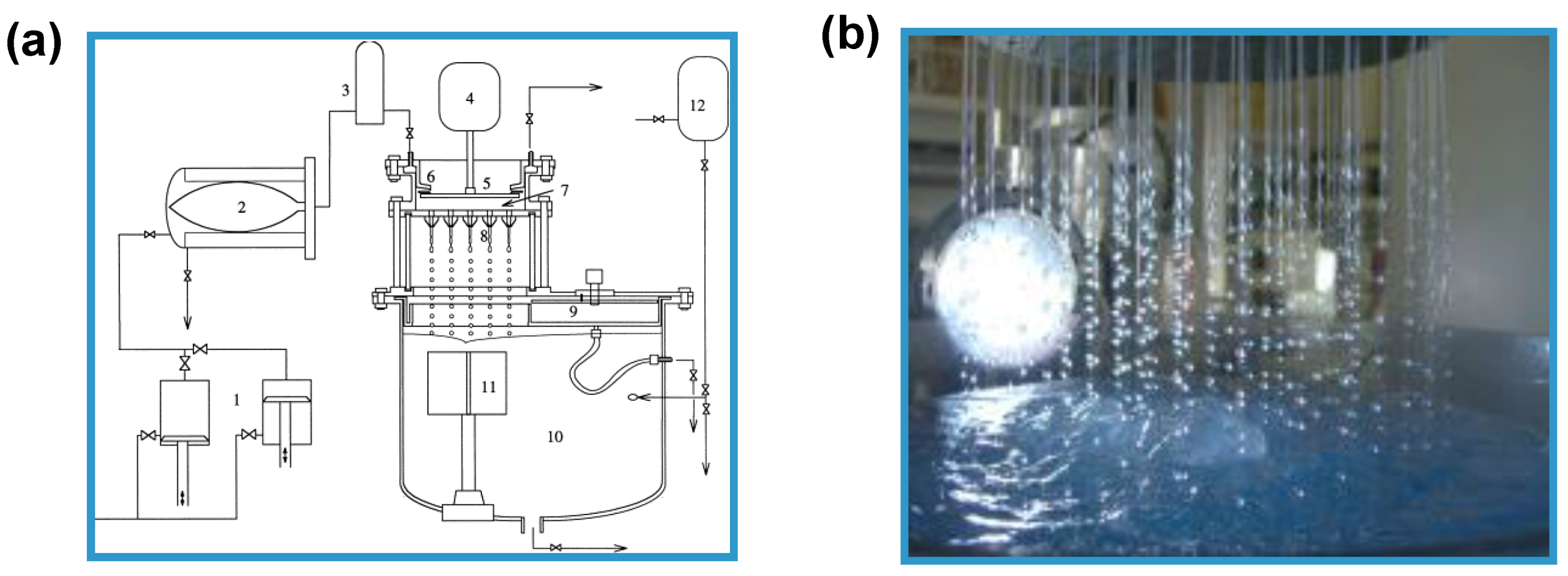 Molecules 25 03156 g005 Molecules 25 03156 g005