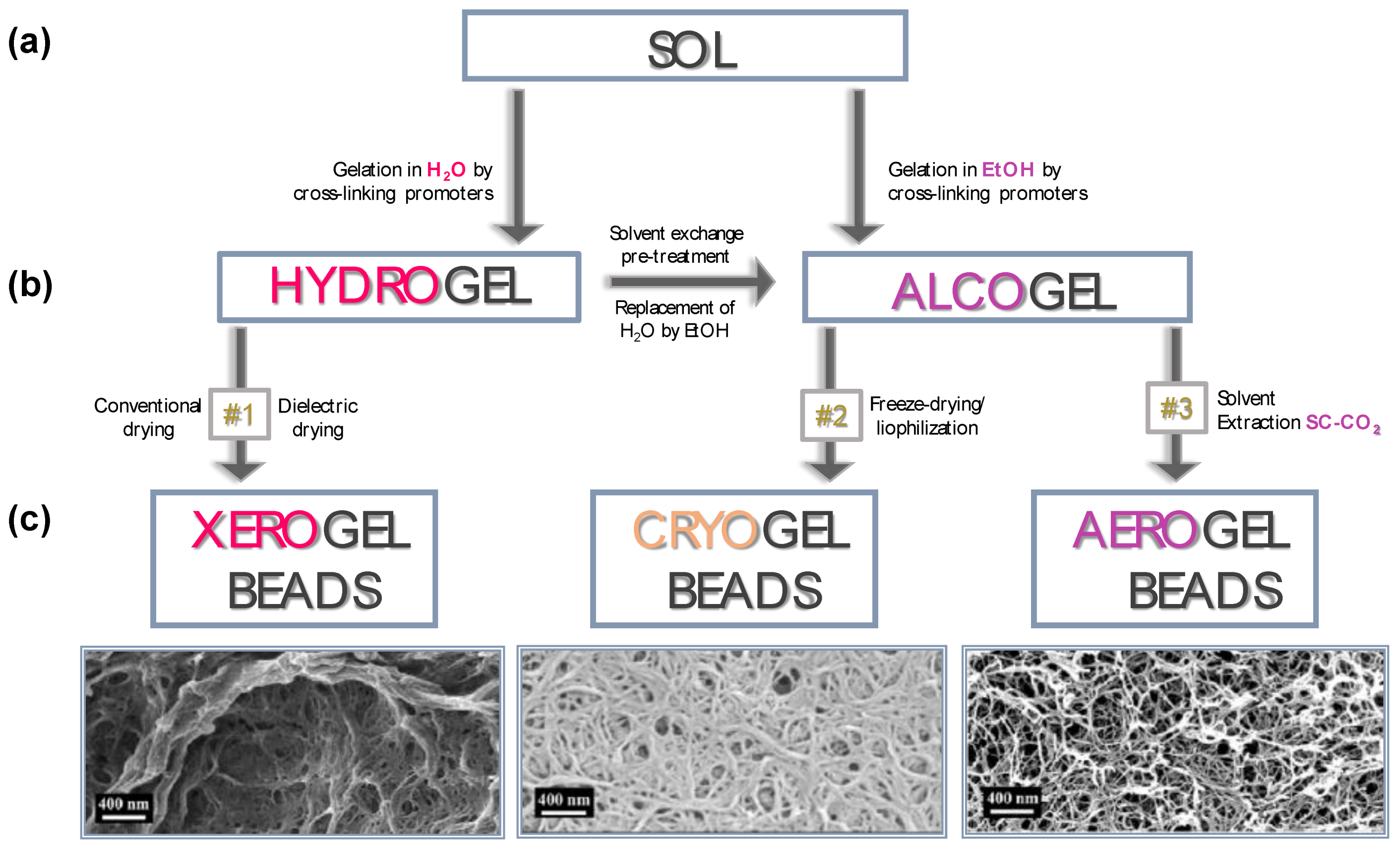 Molecules 25 03156 g010 Molecules 25 03156 g010