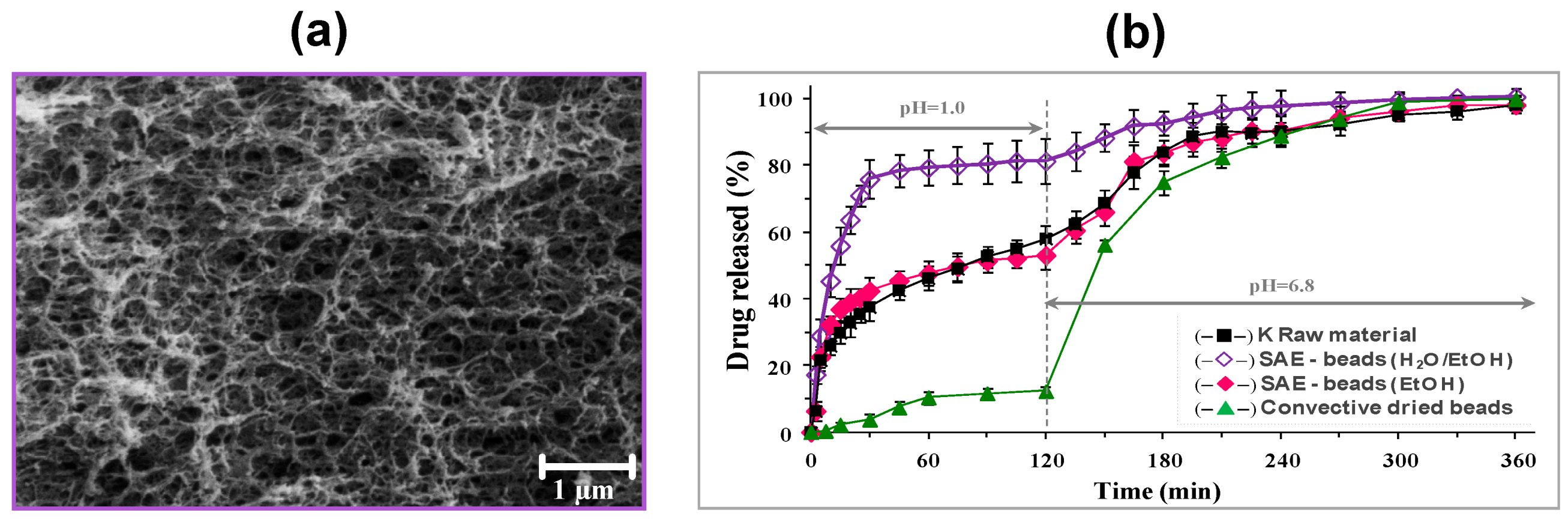 Molecules Free Full Text Technologies And Formulation Design Of Polysaccharide Based Hydrogels For Drug Delivery Html Molecules Free Full Text Technologies And Formulation Design Of Polysaccharide Based Hydrogels For Drug Delivery Html