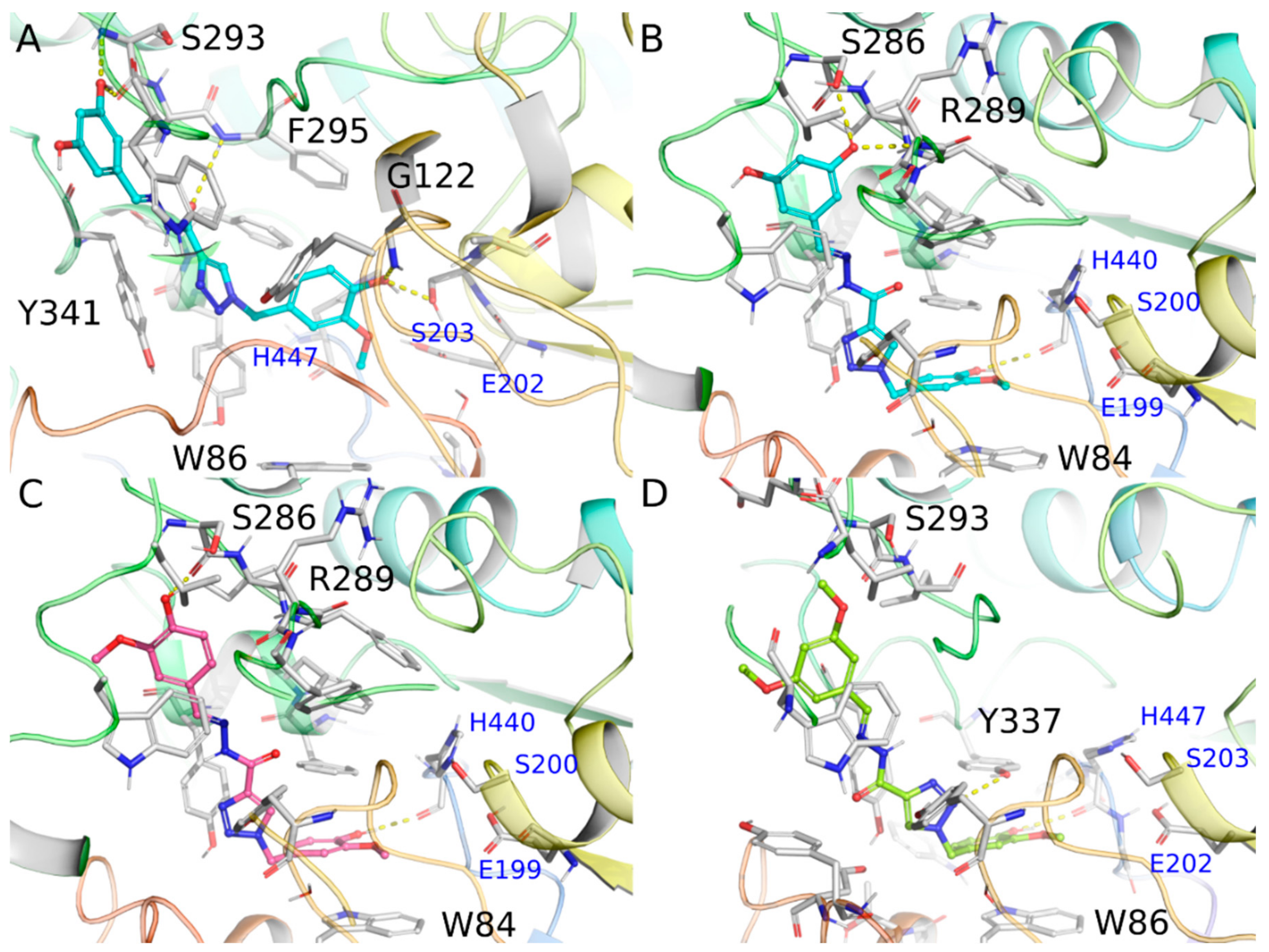 Molecules 25 03165 g004