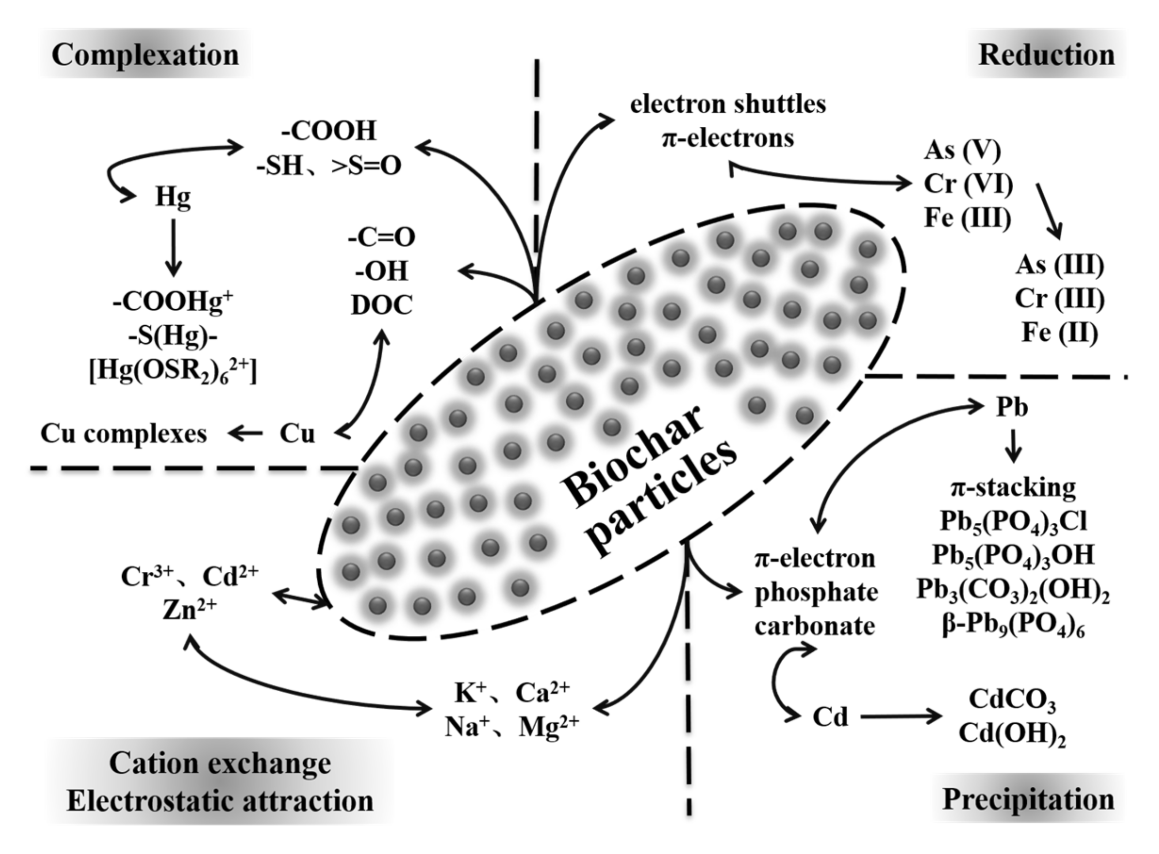 Molecules Free FullText Application Research of Biochar for the