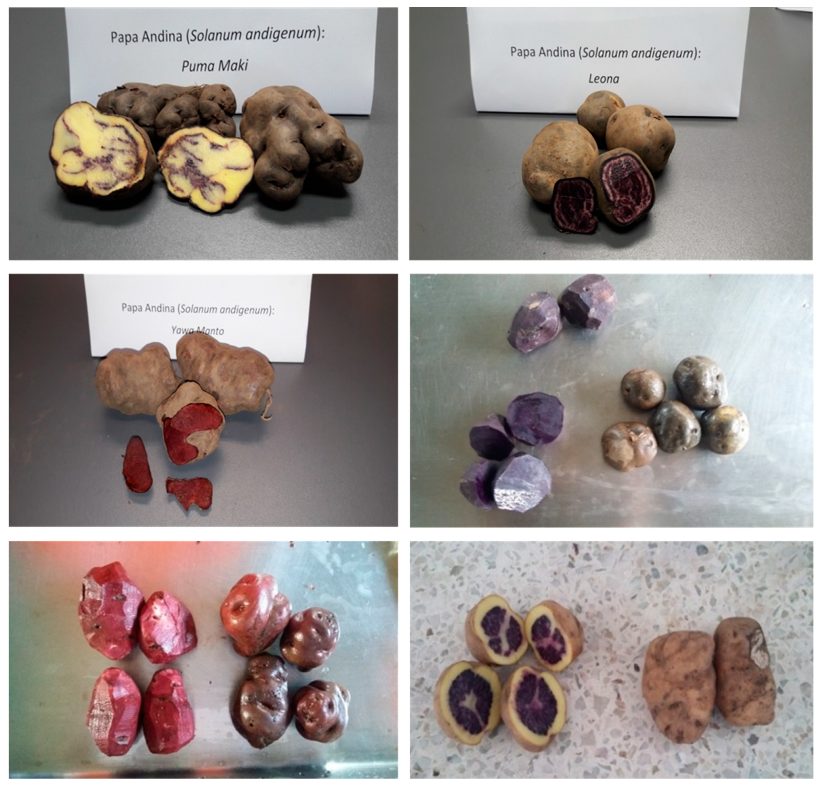 Molecules 25 03169 g001