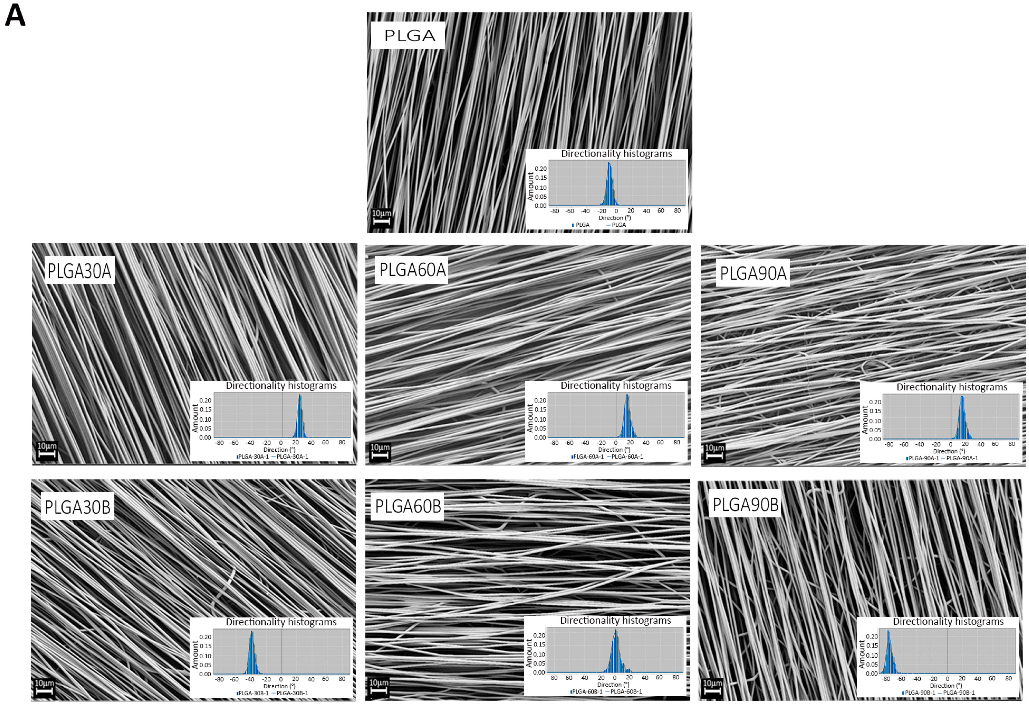 Molecules 25 03176 g002a