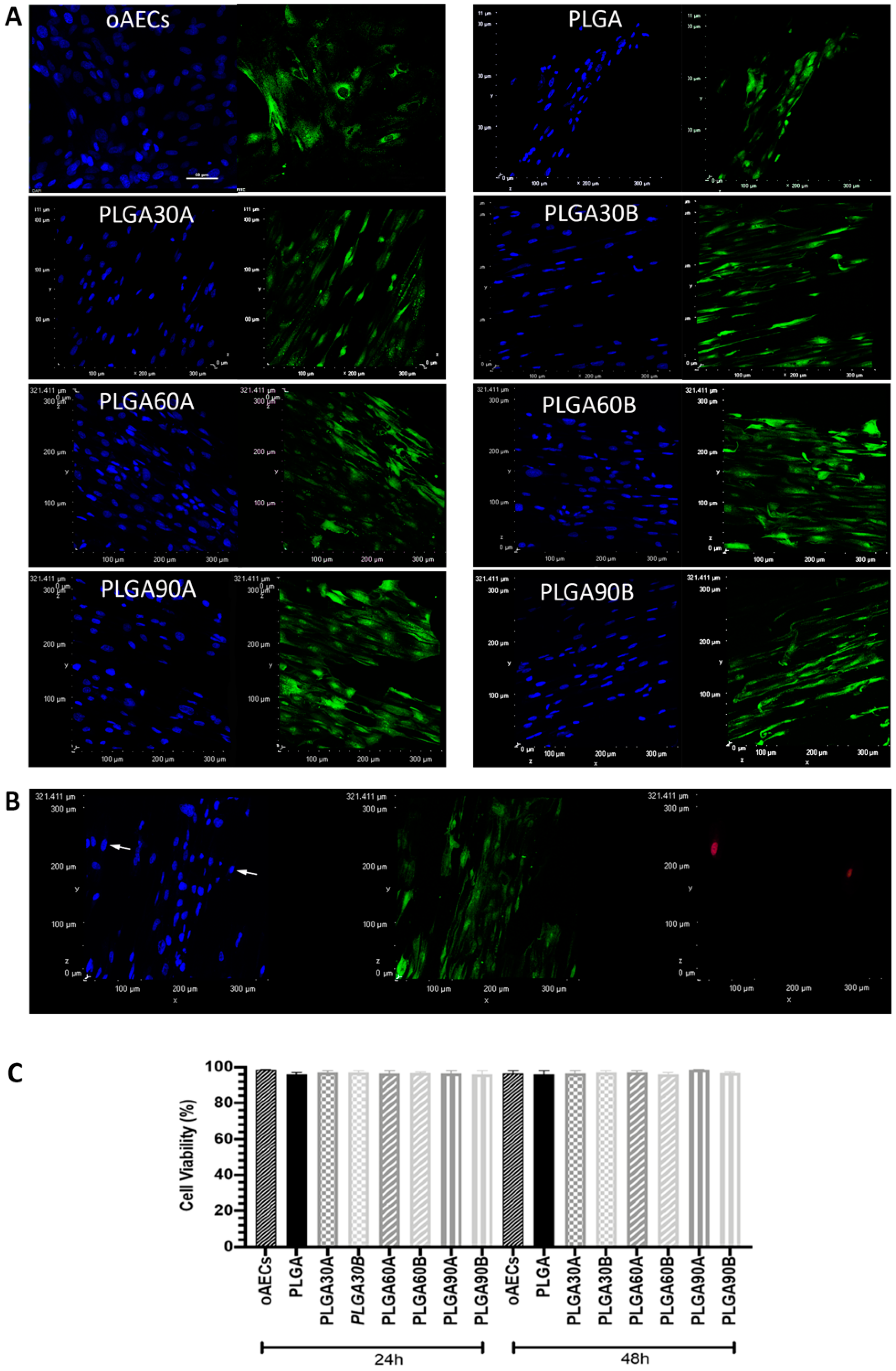 Molecules 25 03176 g005