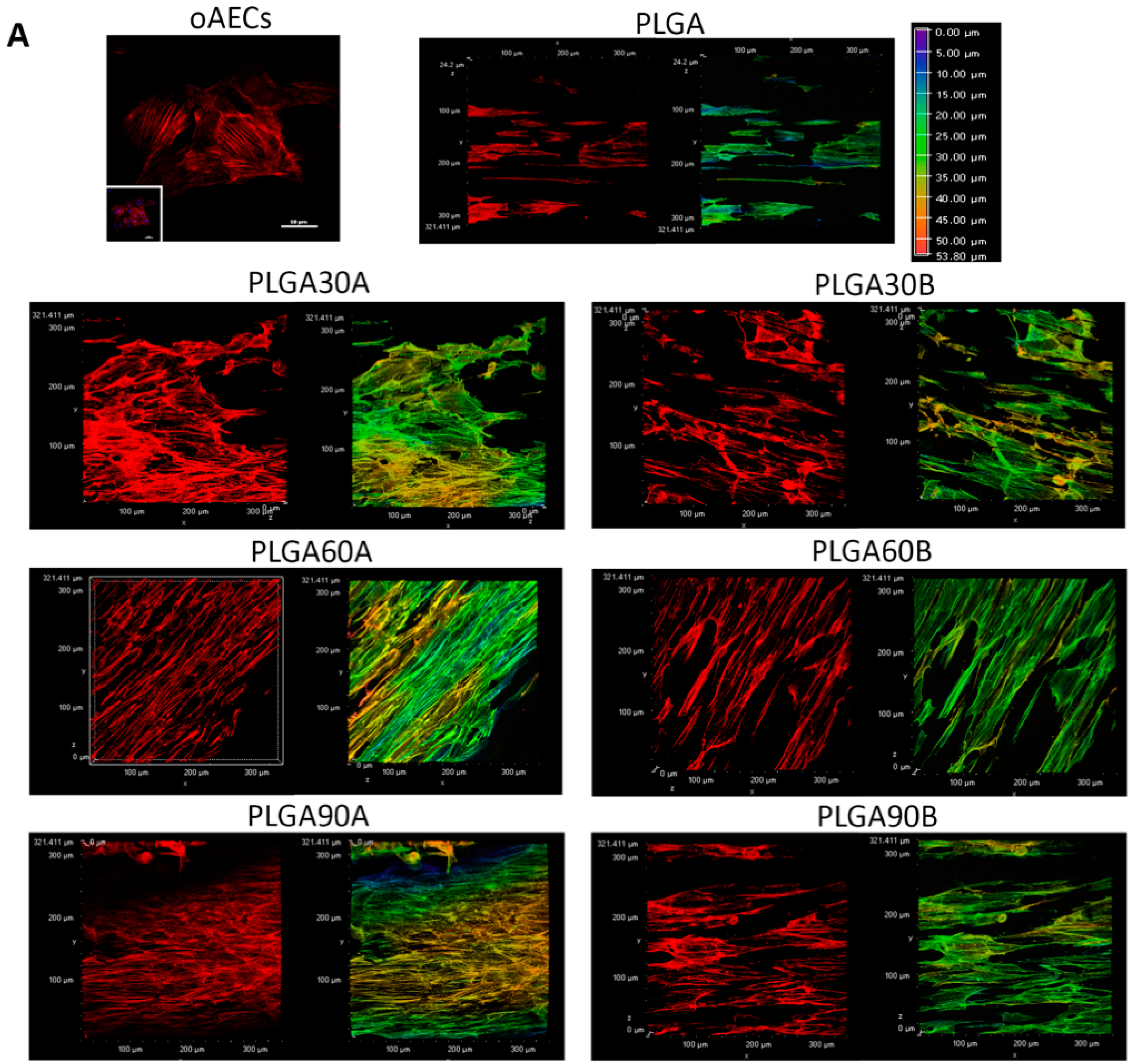 Molecules 25 03176 g006a