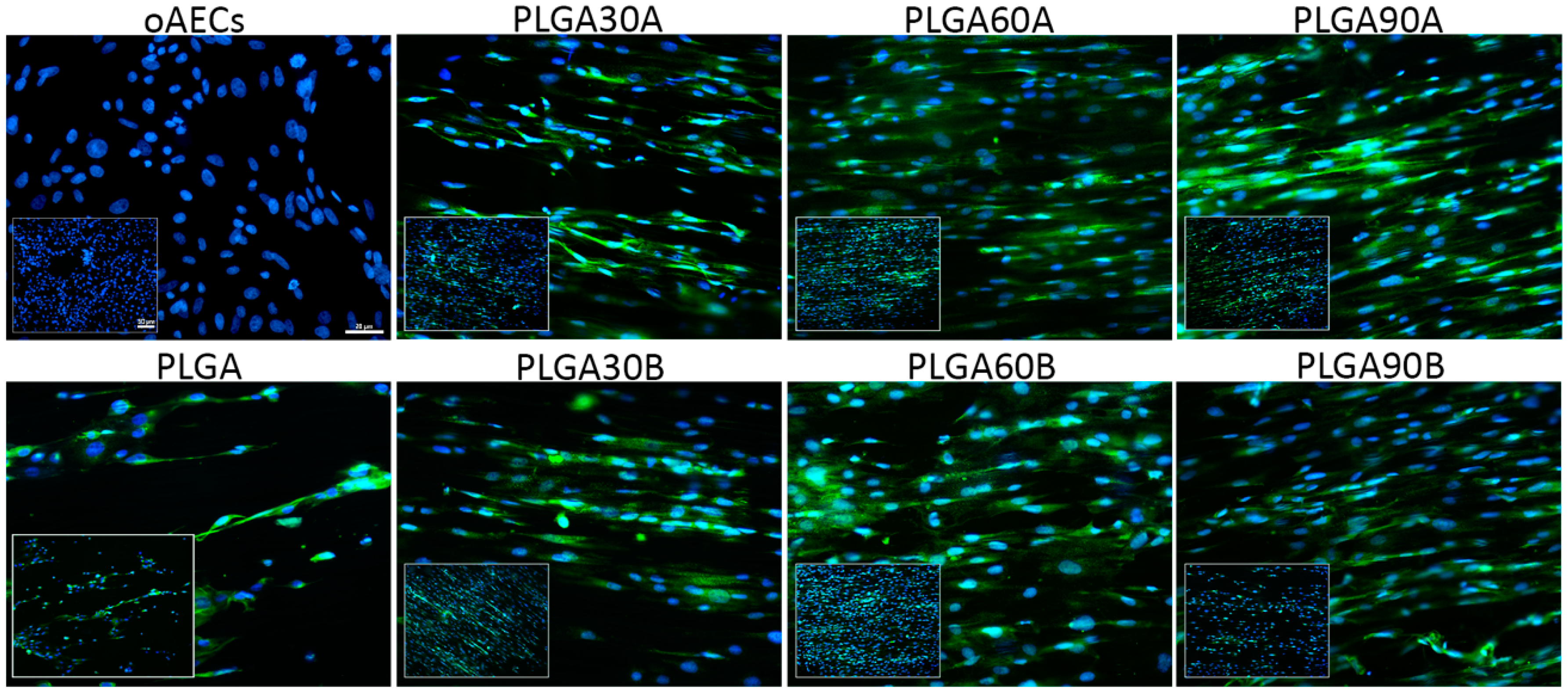 Molecules 25 03176 g008