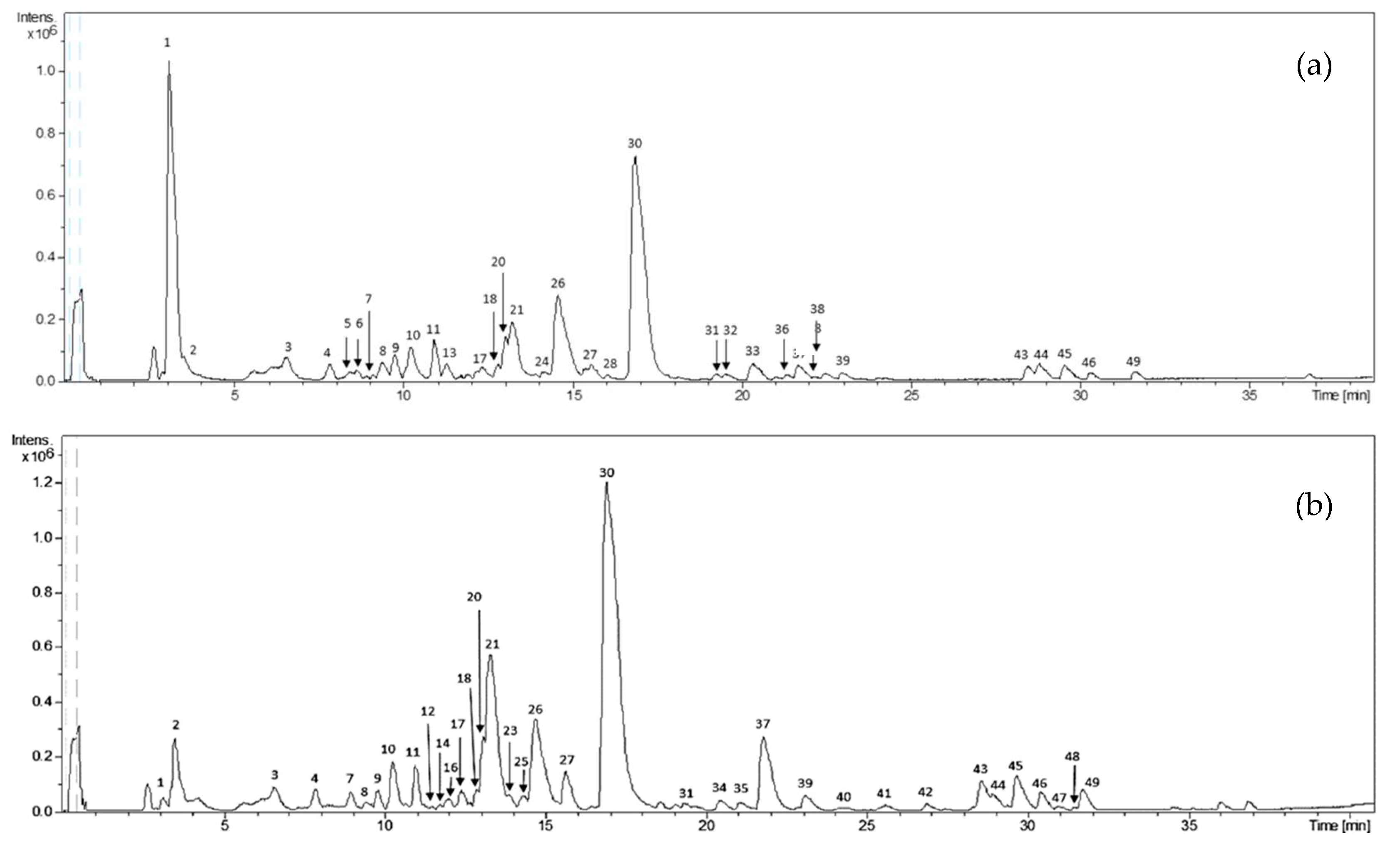 Molecules 25 03177 g001