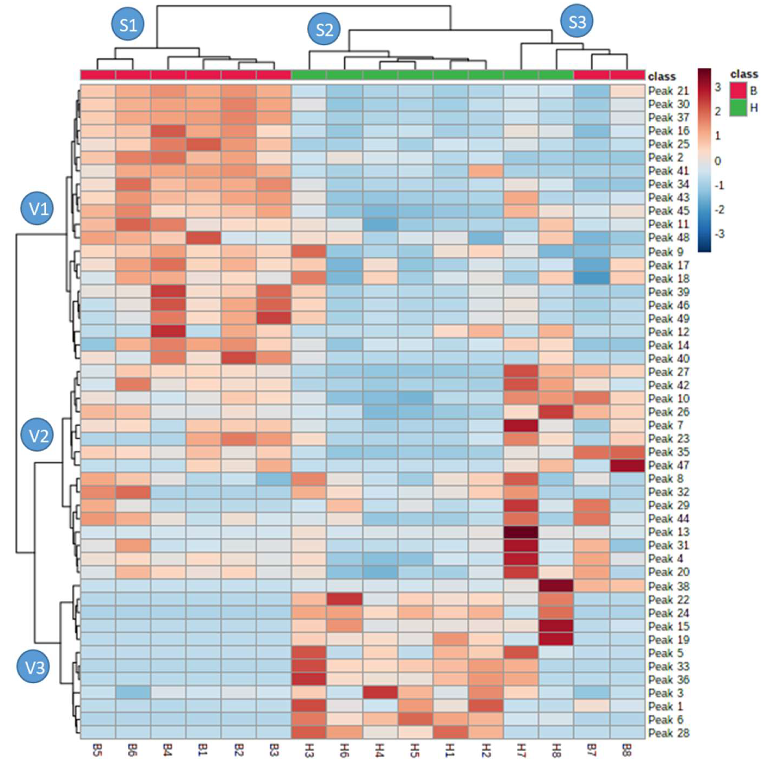 Molecules 25 03177 g002