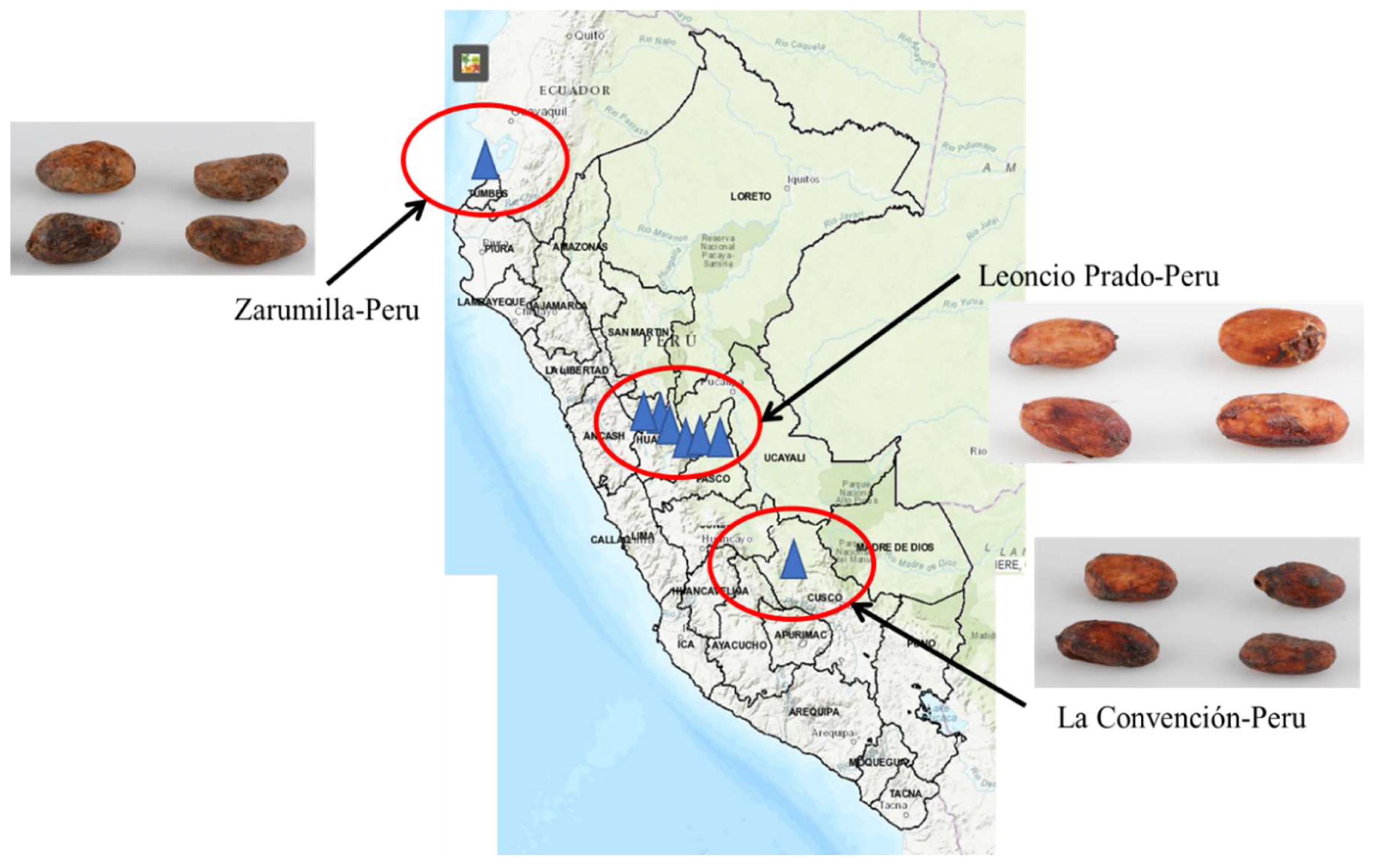 Molecules 25 03177 g004