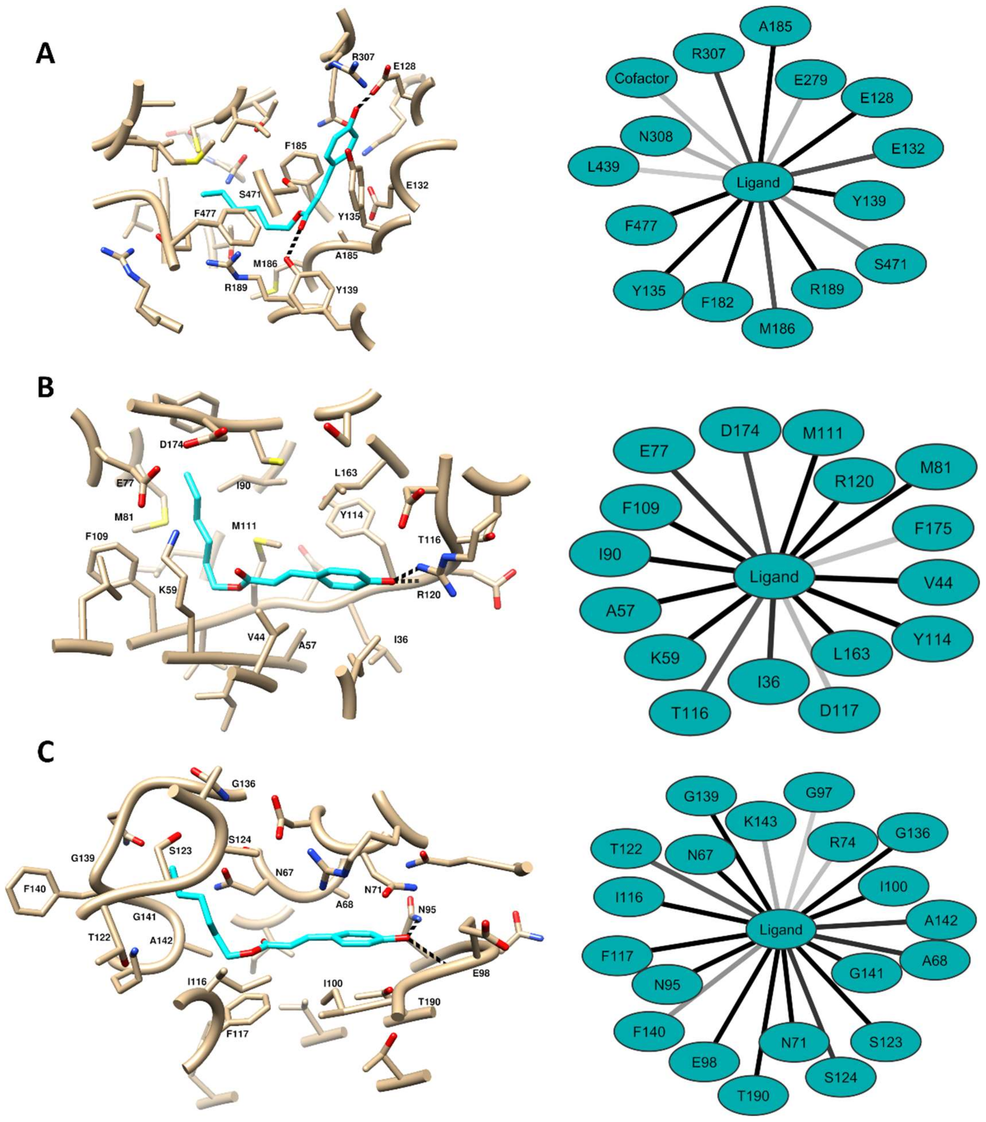 Molecules 25 03178 g002 Molecules 25 03178 g002