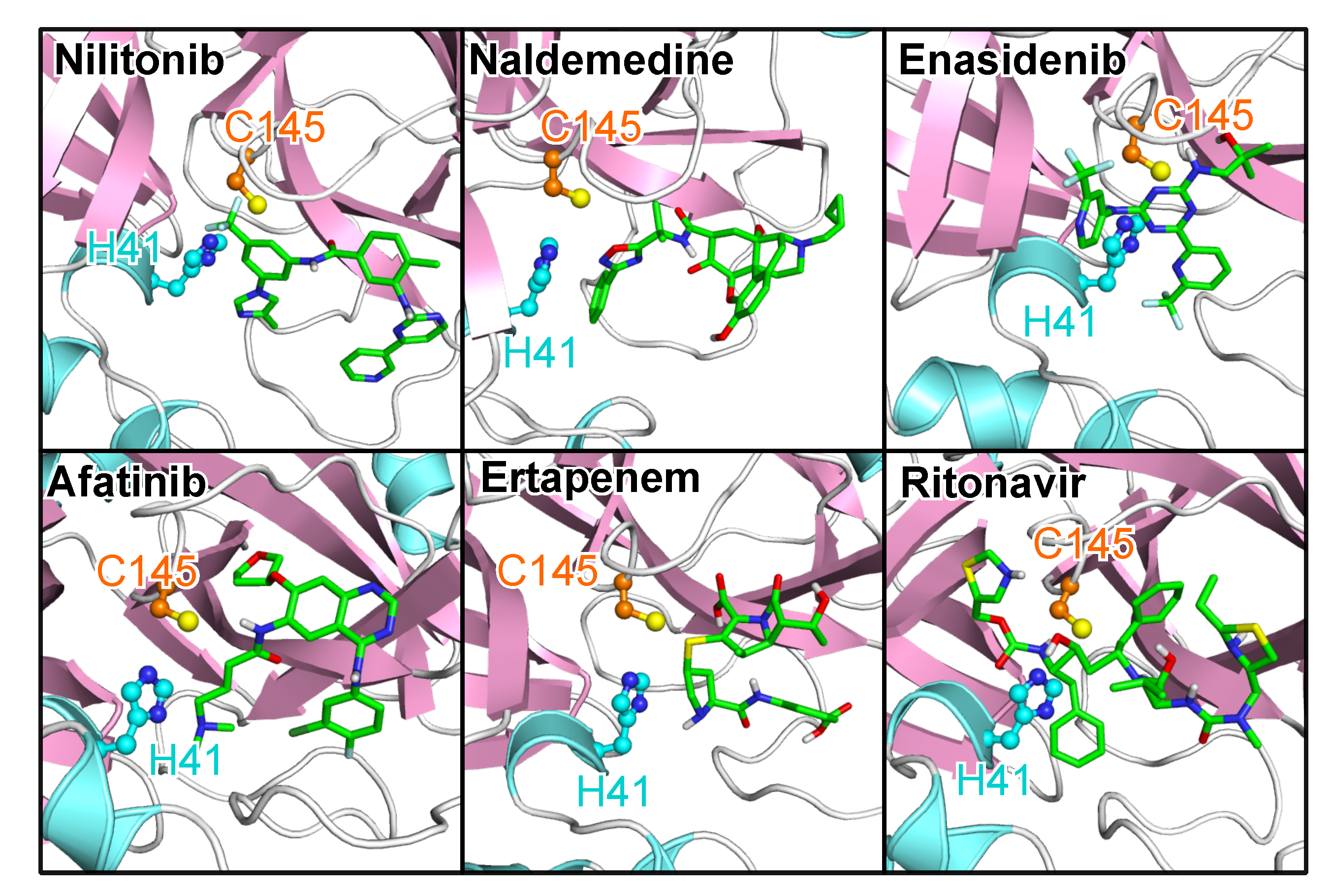 Molecules 25 03193 g005