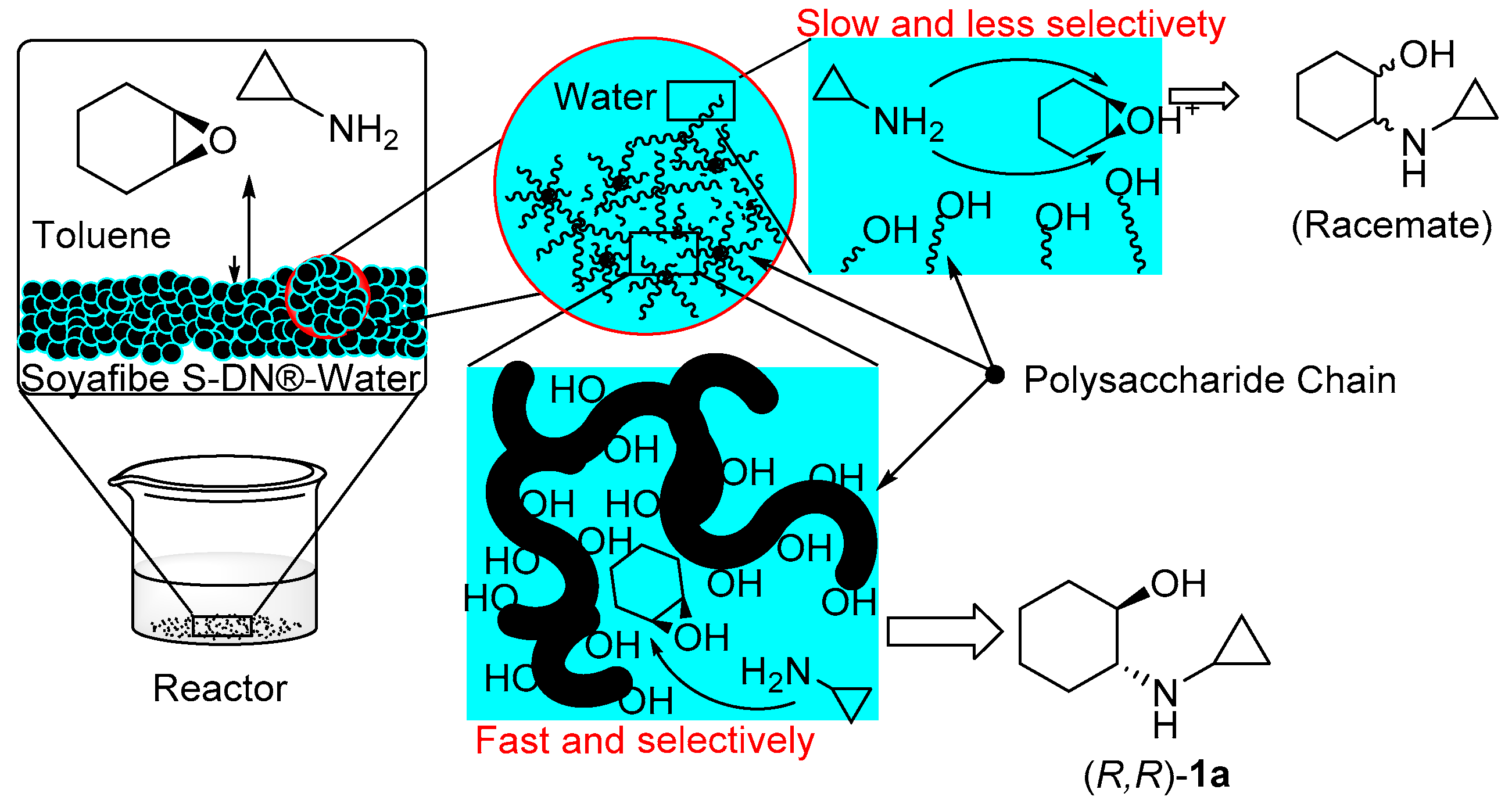 Molecules 25 03197 g003