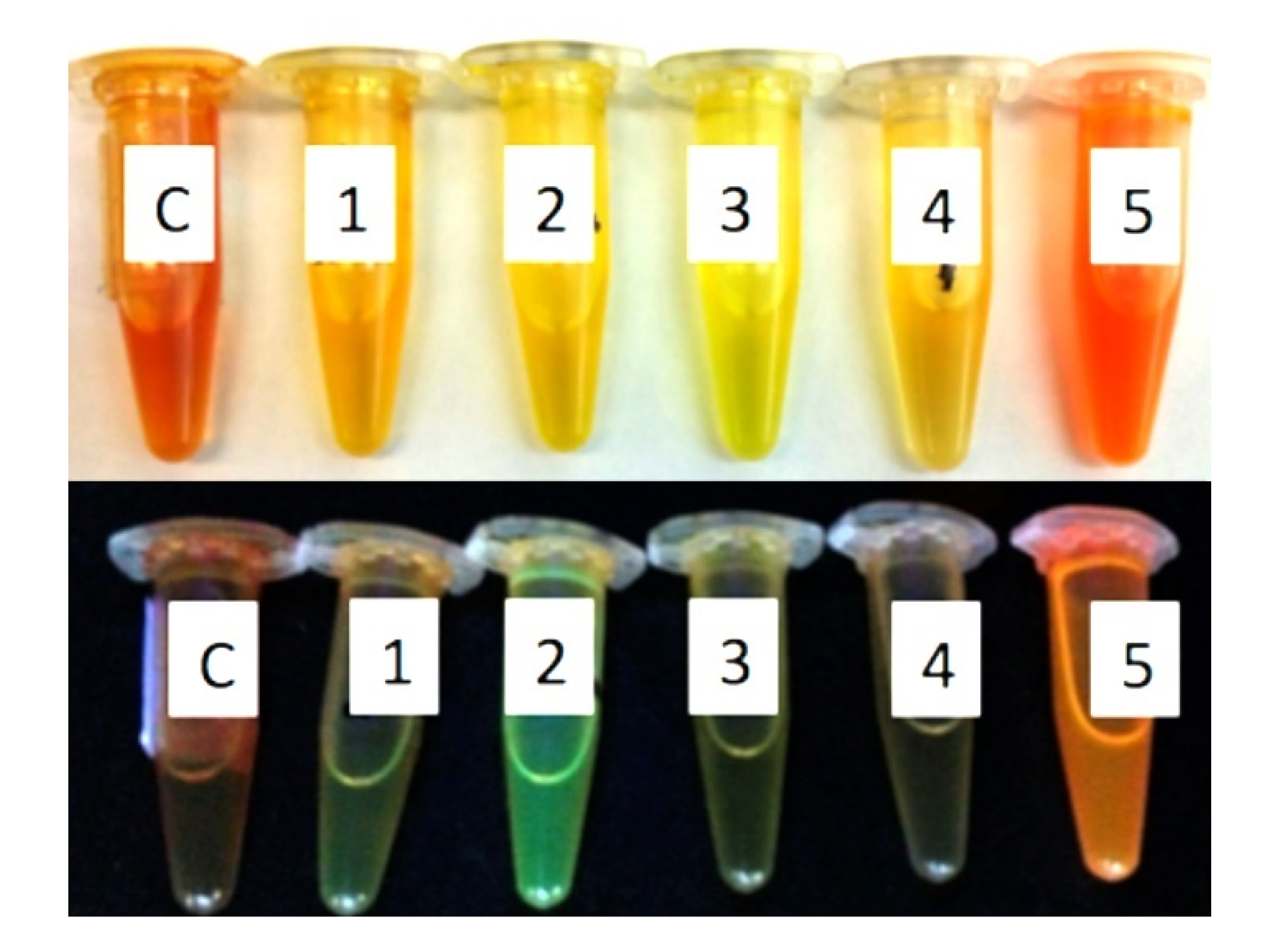 Molecules 25 03205 g003 Molecules 25 03205 g003