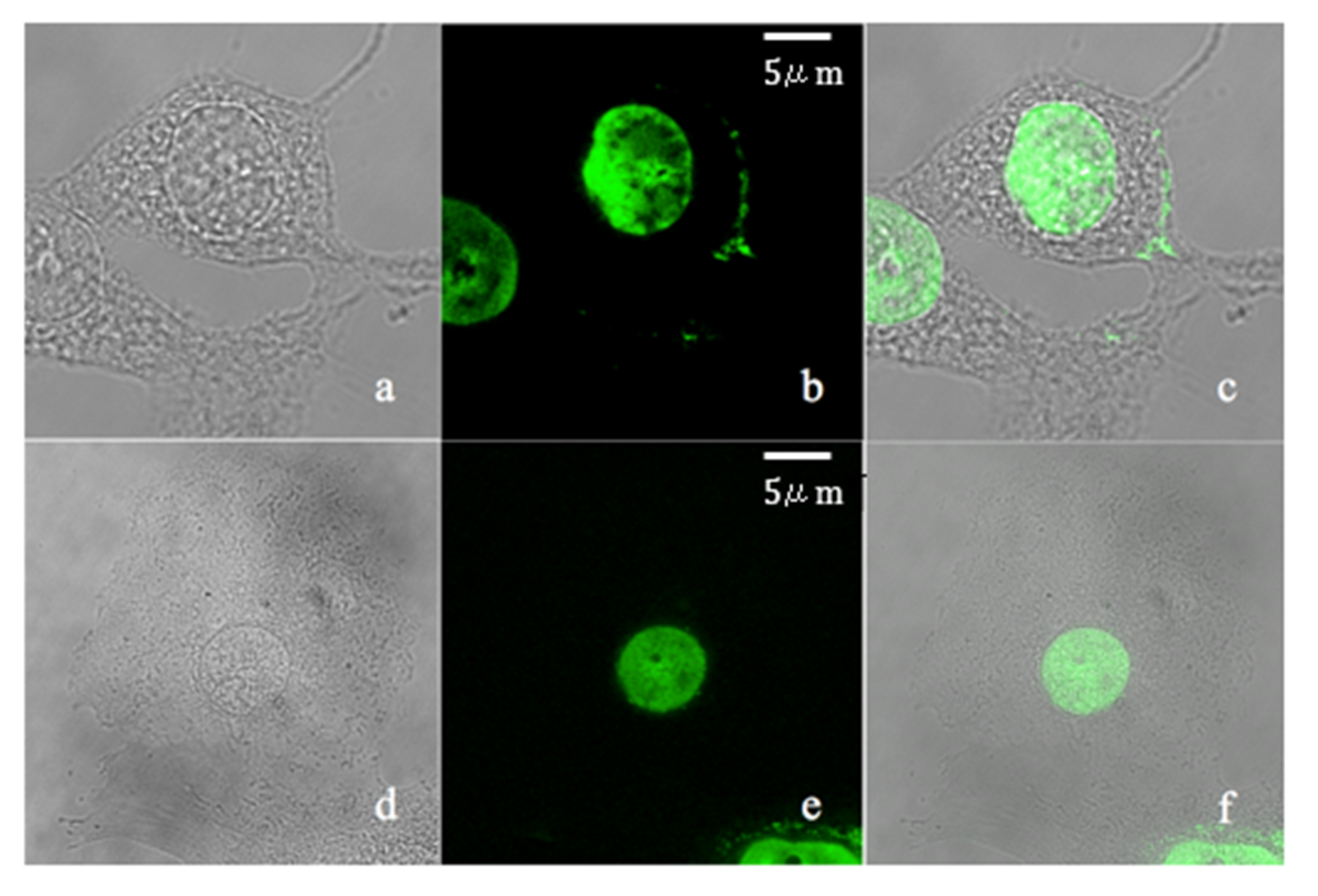 Molecules 25 03205 g005 Molecules 25 03205 g005