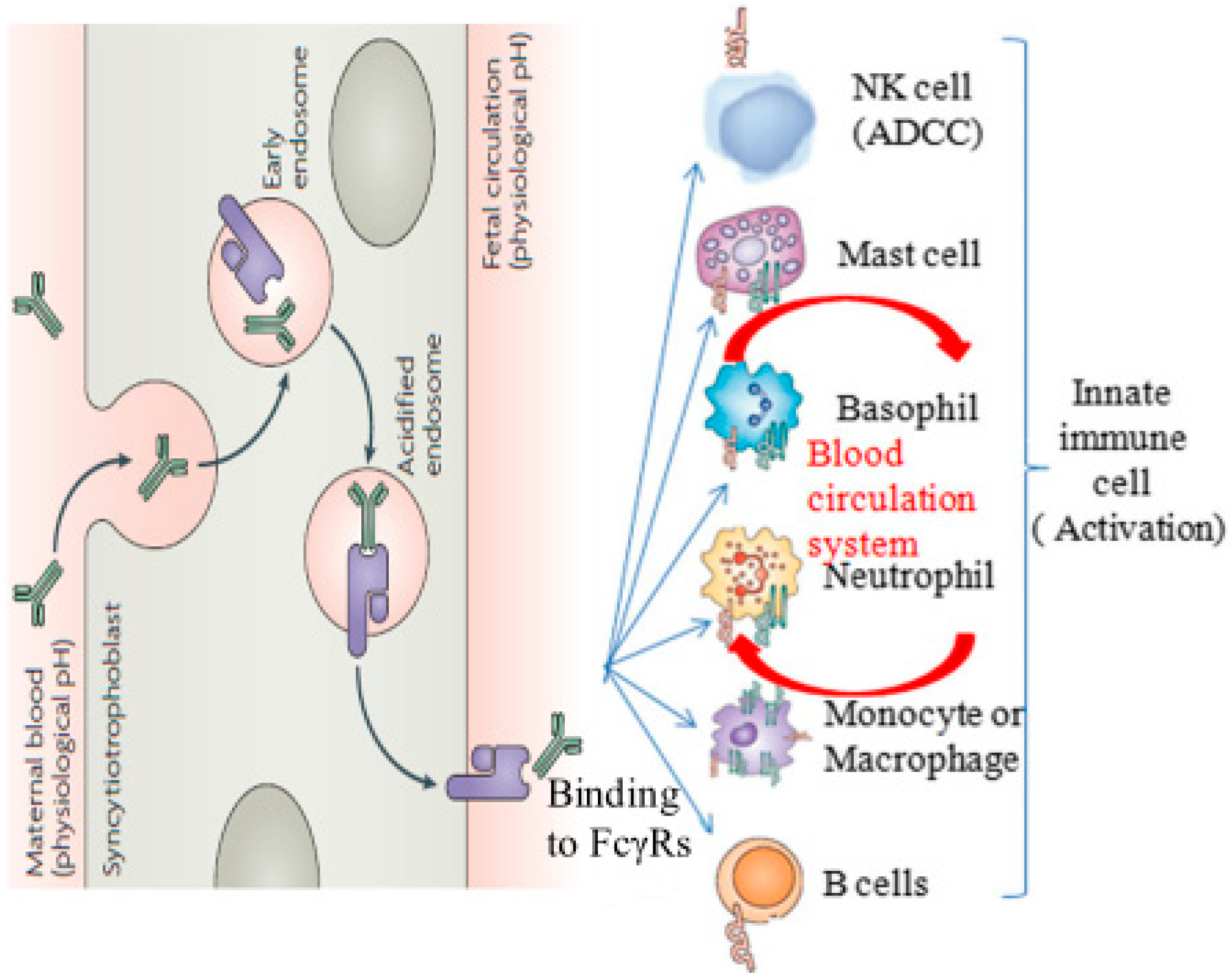 Molecules 25 03206 g001 Molecules 25 03206 g001