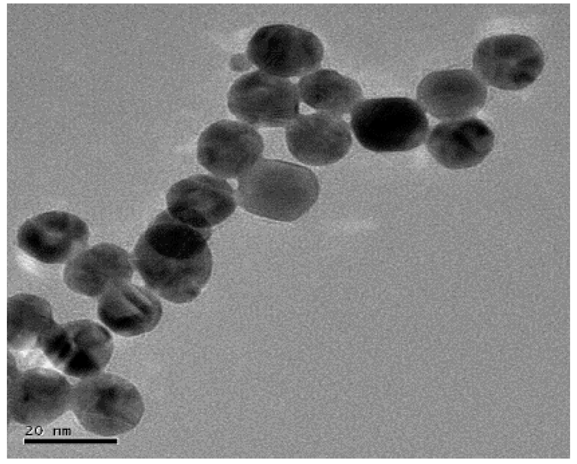Molecules 25 03206 g003 Molecules 25 03206 g003