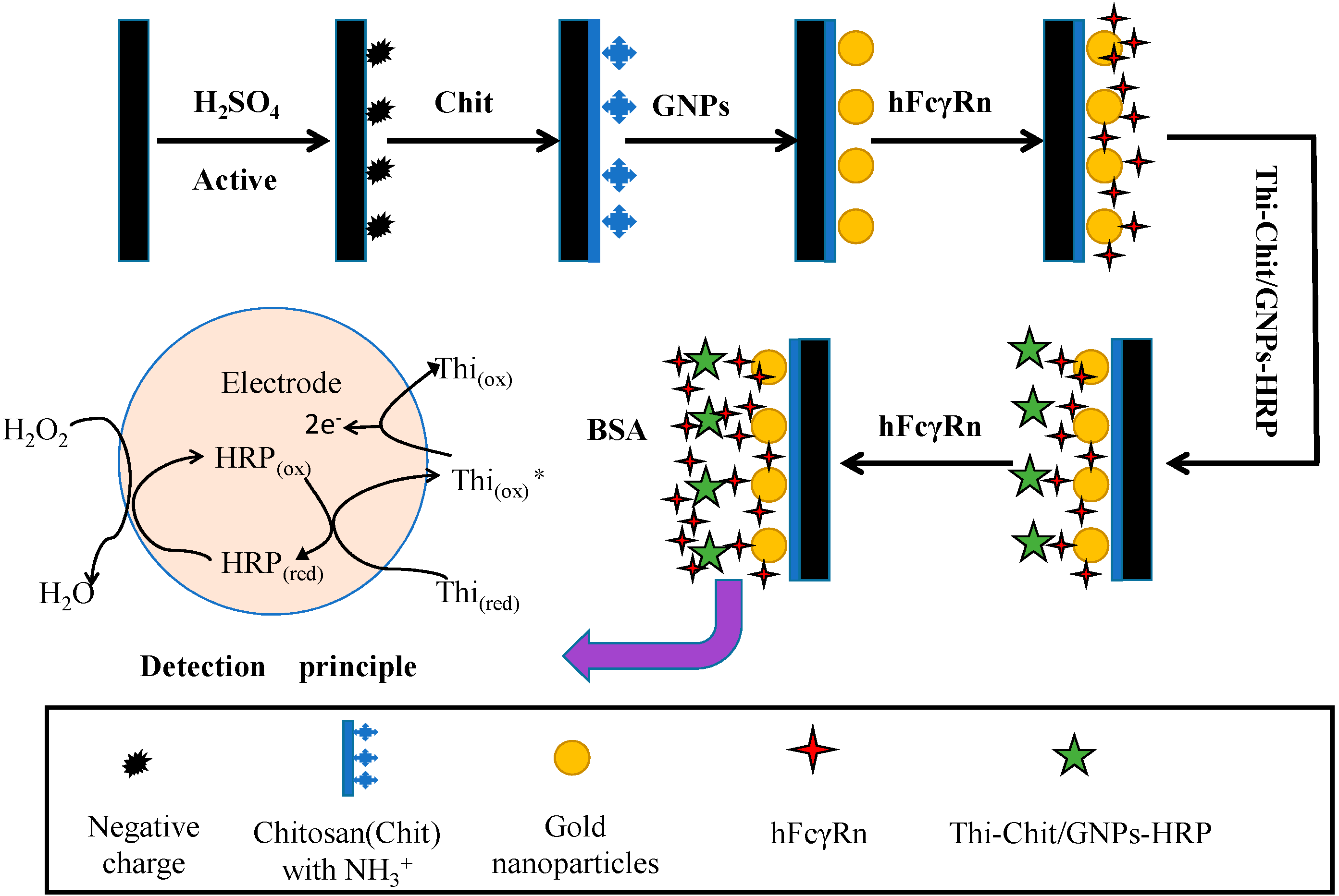 Molecules 25 03206 g012 Molecules 25 03206 g012