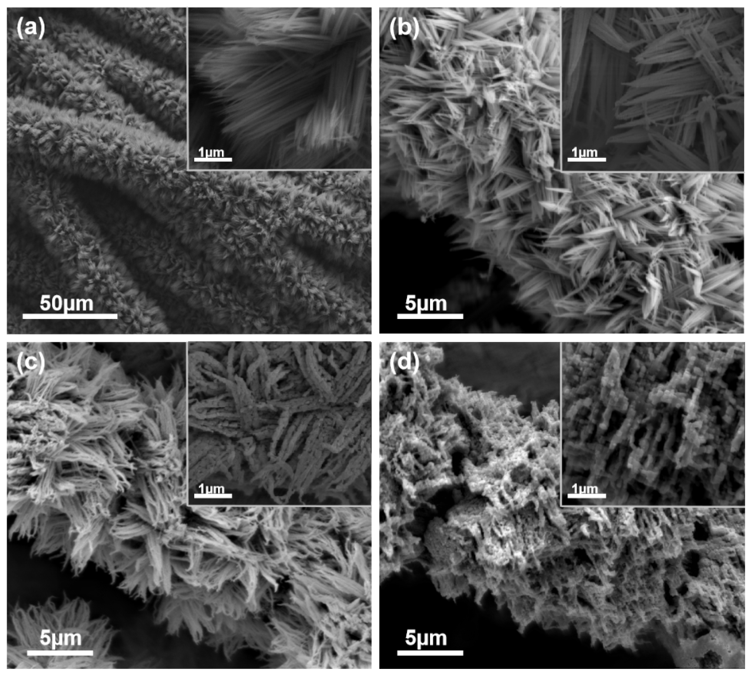 Molecules 25 03218 g001