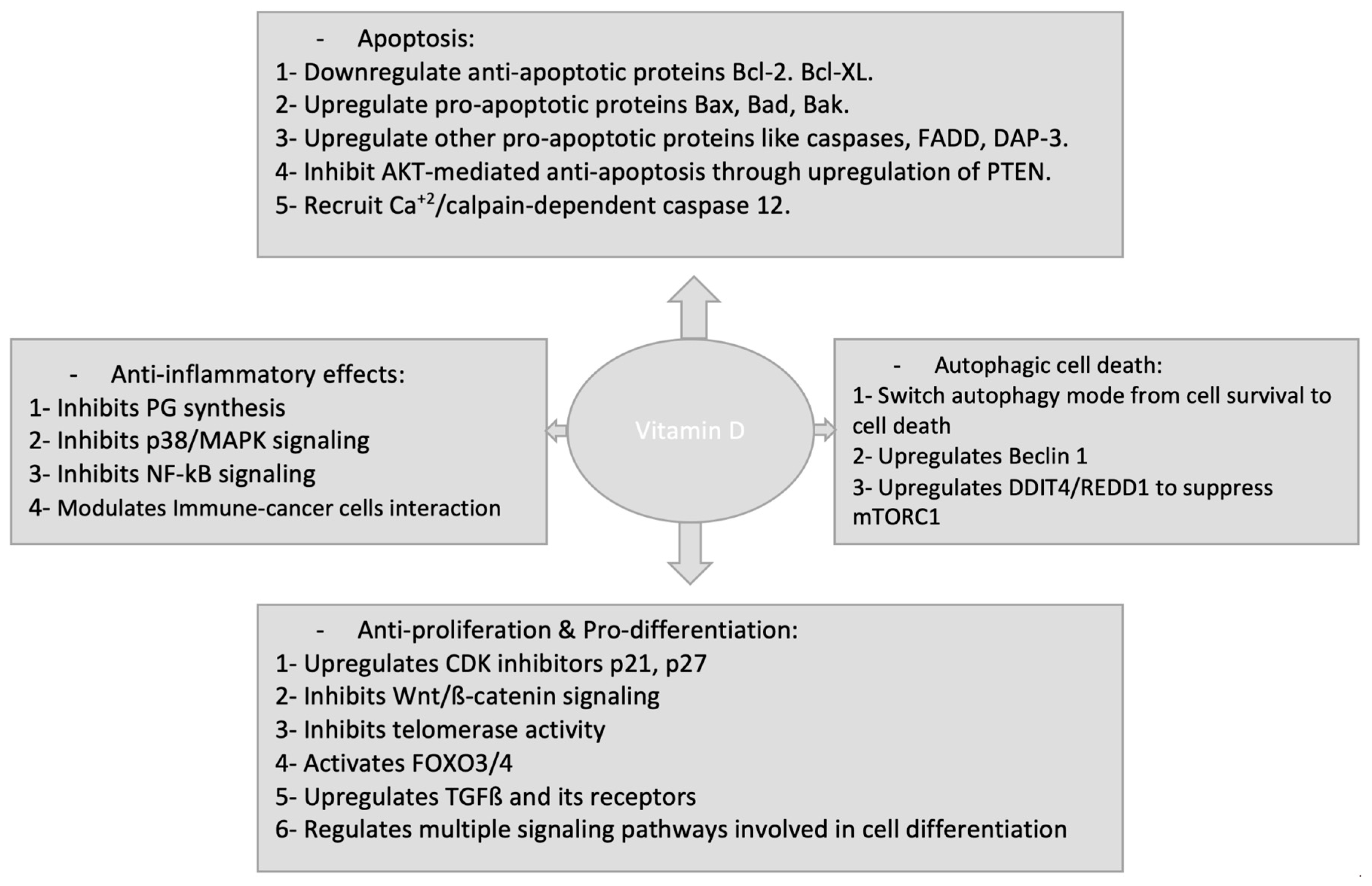 Molecules 25 03219 g002 Molecules 25 03219 g002