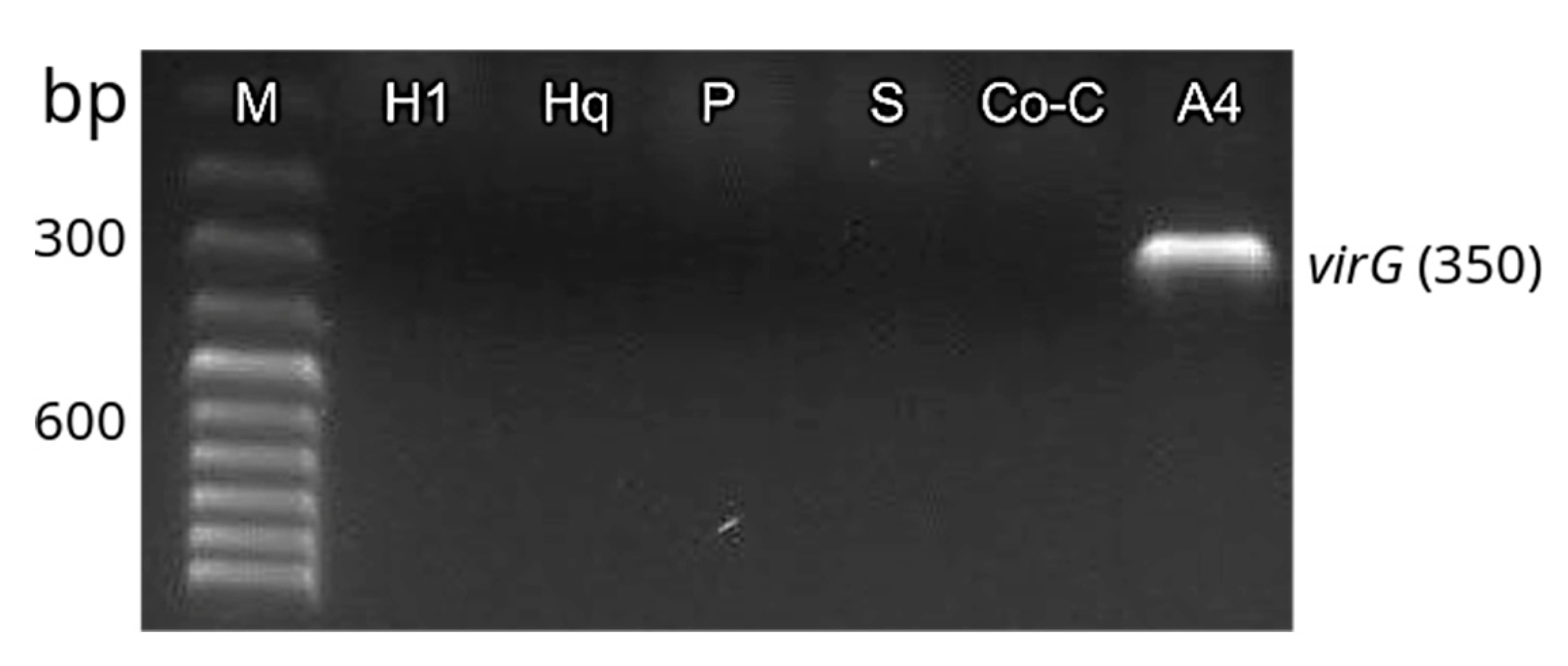 Molecules 25 03231 g006b Molecules 25 03231 g006b