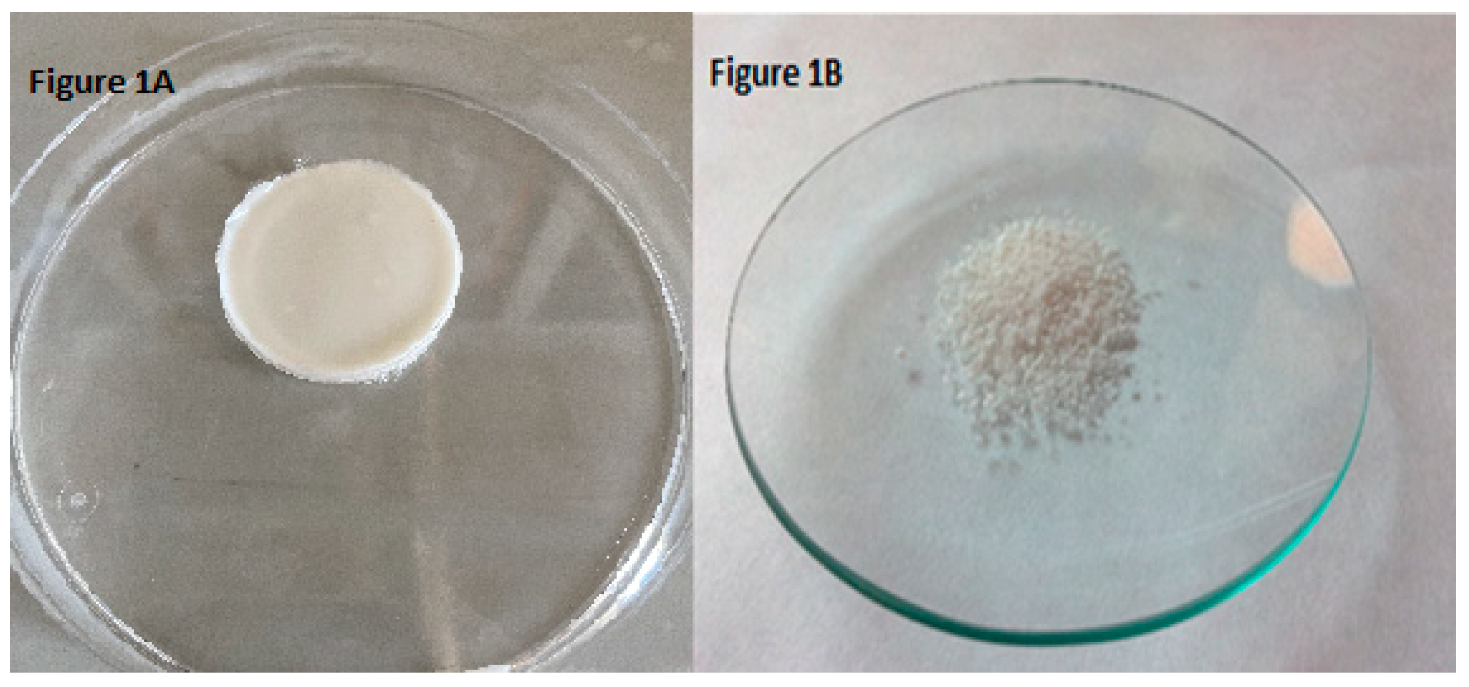 Molecules 25 03233 g001