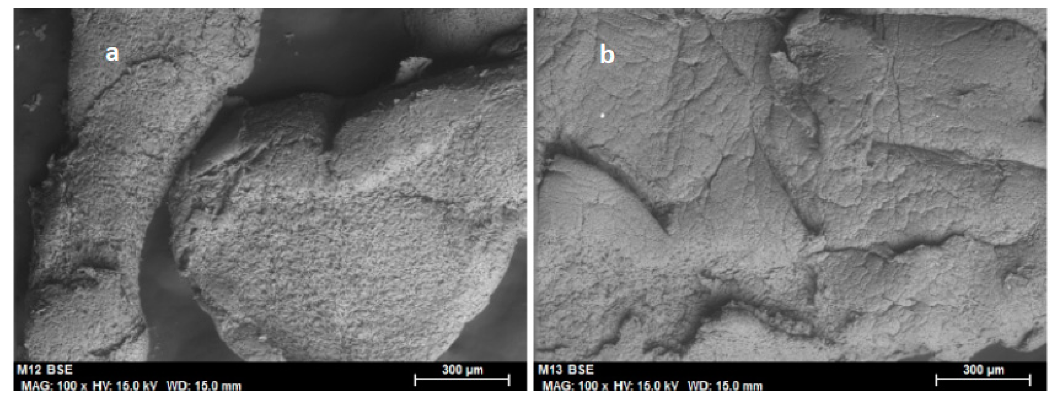 Molecules 25 03233 g010