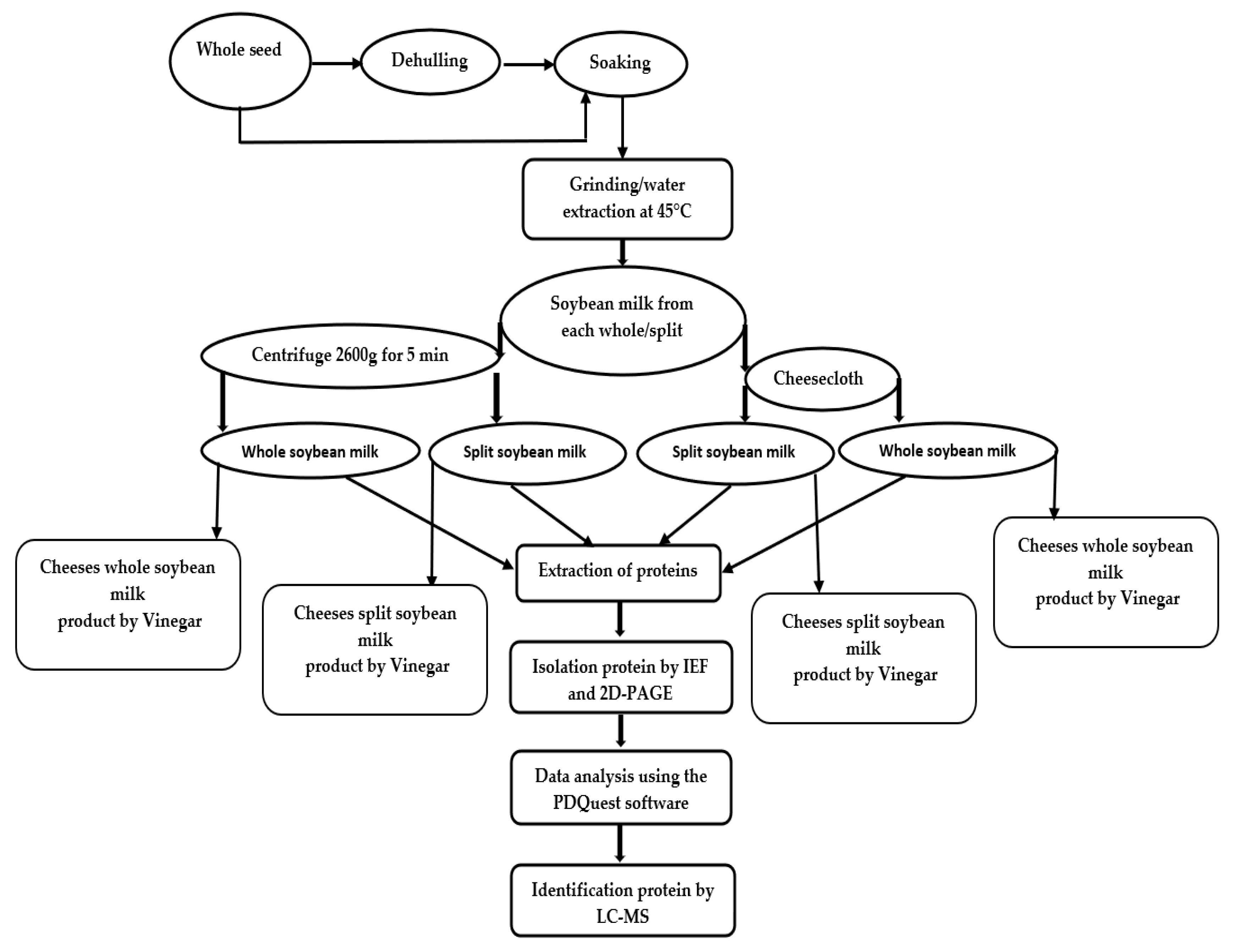 Molecules 25 03237 g001