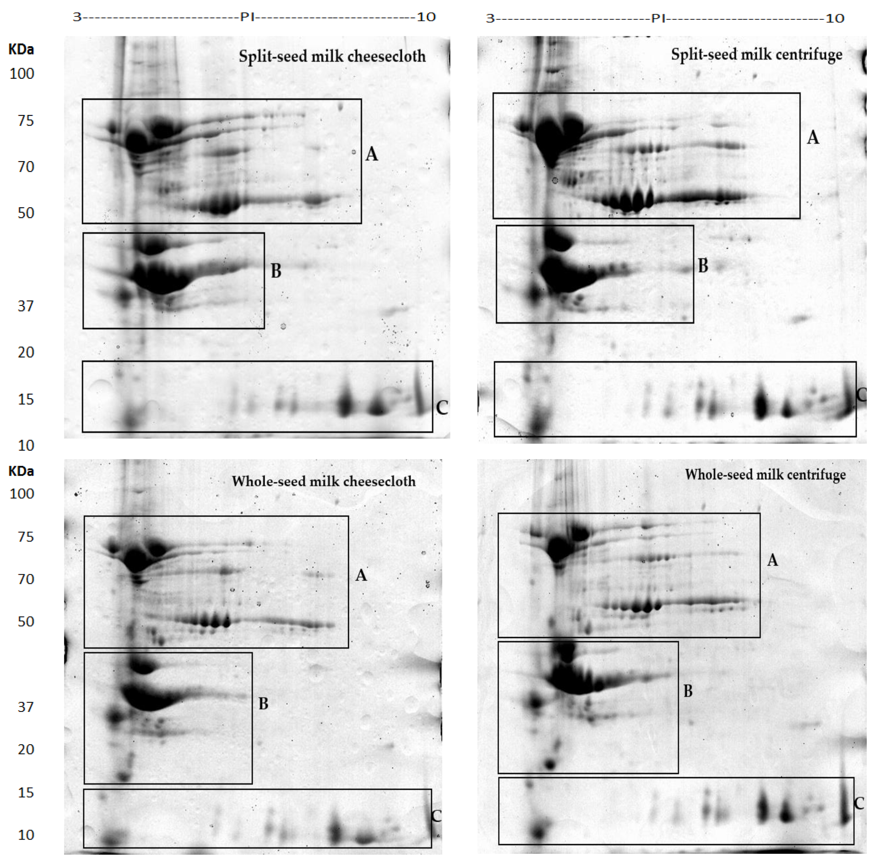Molecules 25 03237 g002