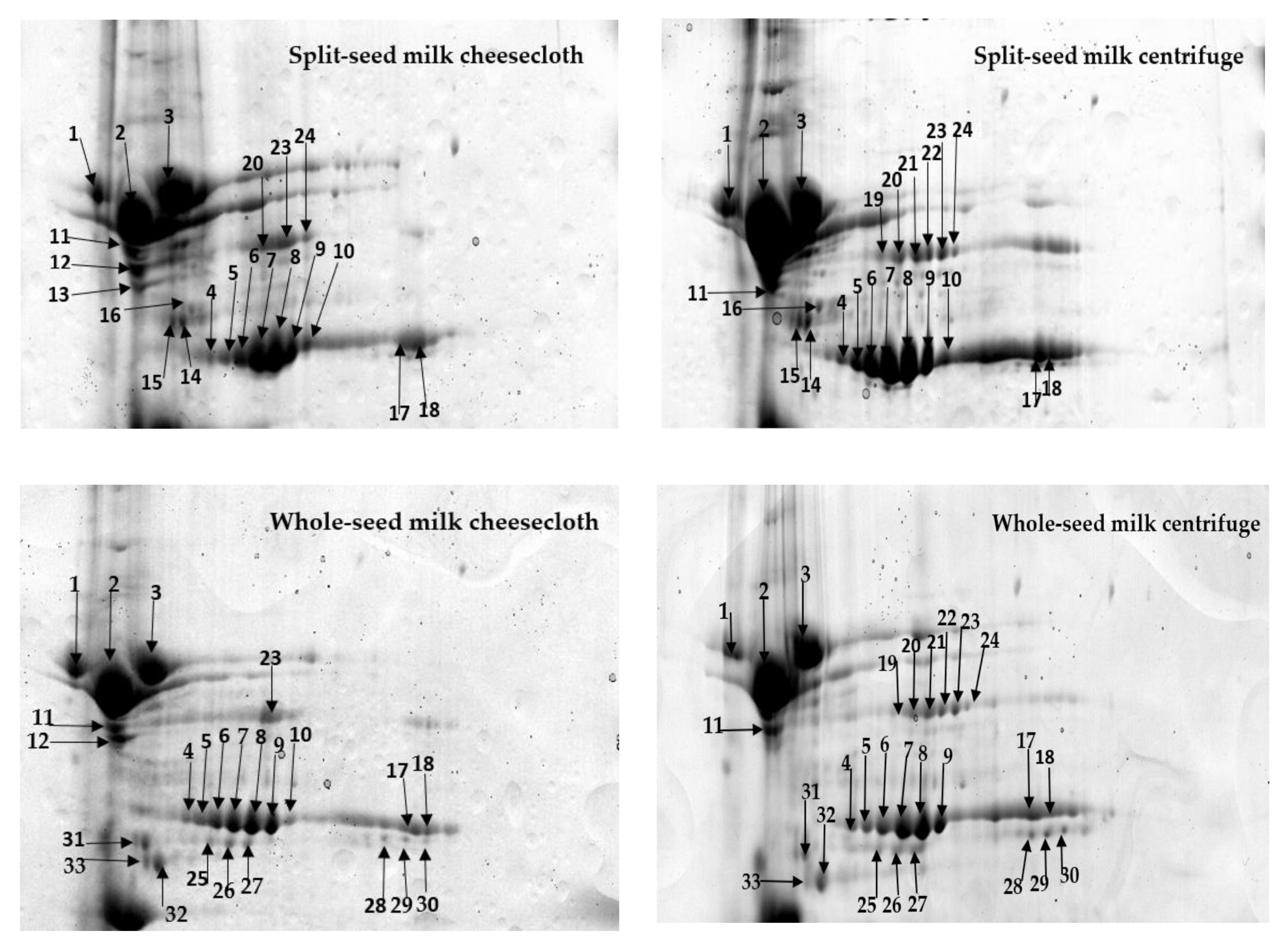 Molecules 25 03237 g003