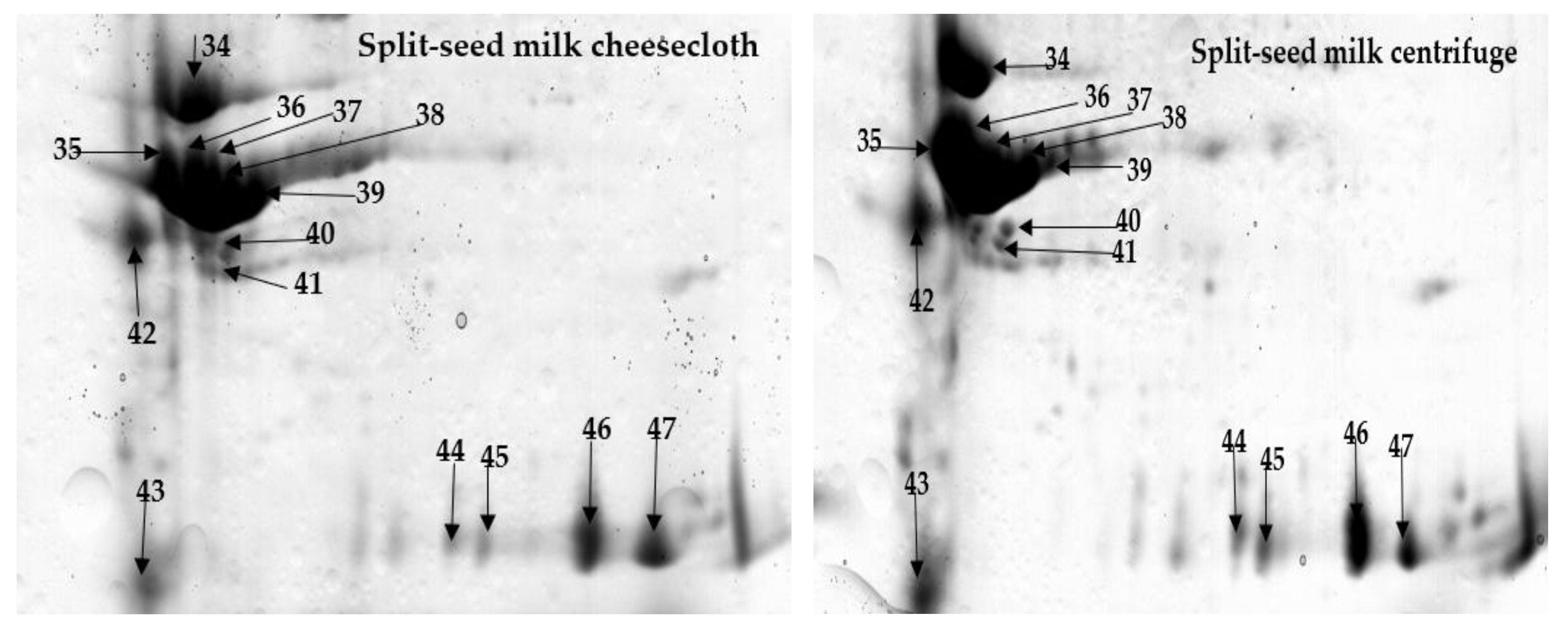 Molecules 25 03237 g004a