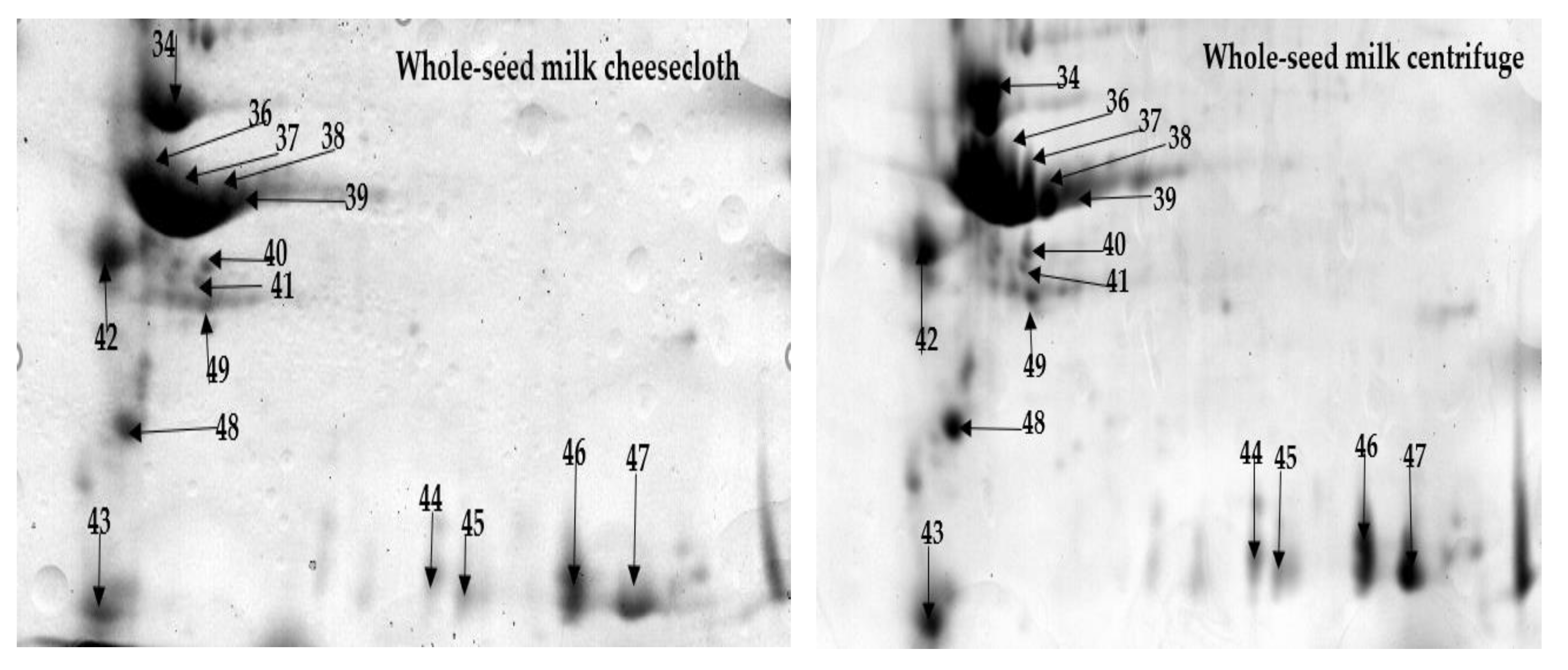 Molecules 25 03237 g004b