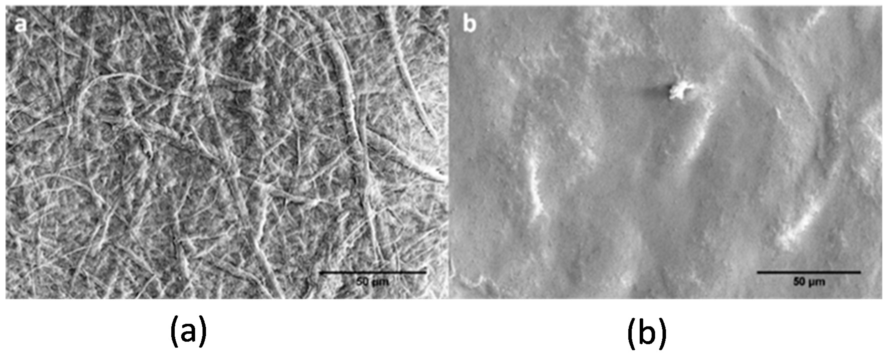 Molecules 25 03238 g002