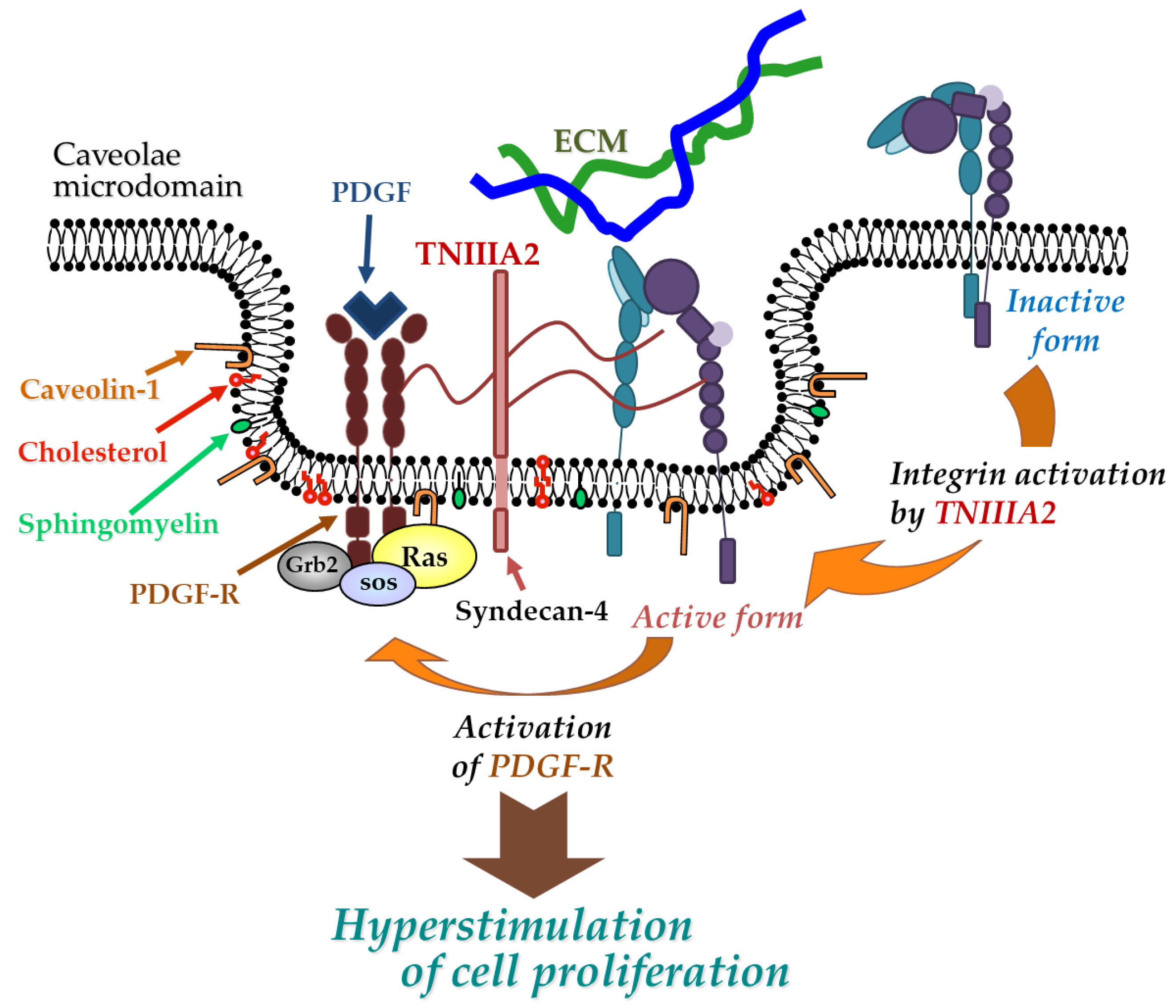 Molecules 25 03239 g002 Molecules 25 03239 g002