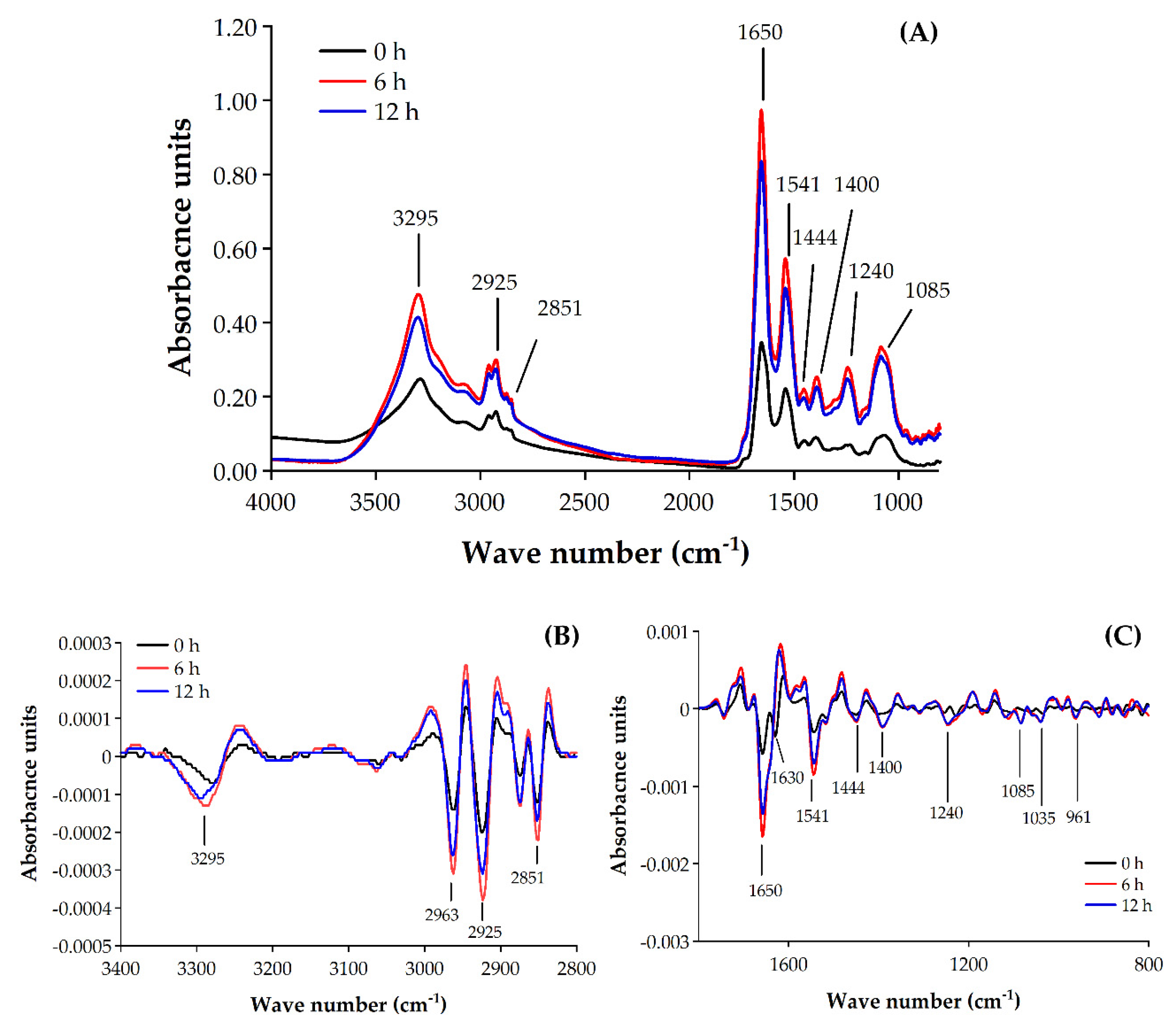 Molecules 25 03245 g004 Molecules 25 03245 g004