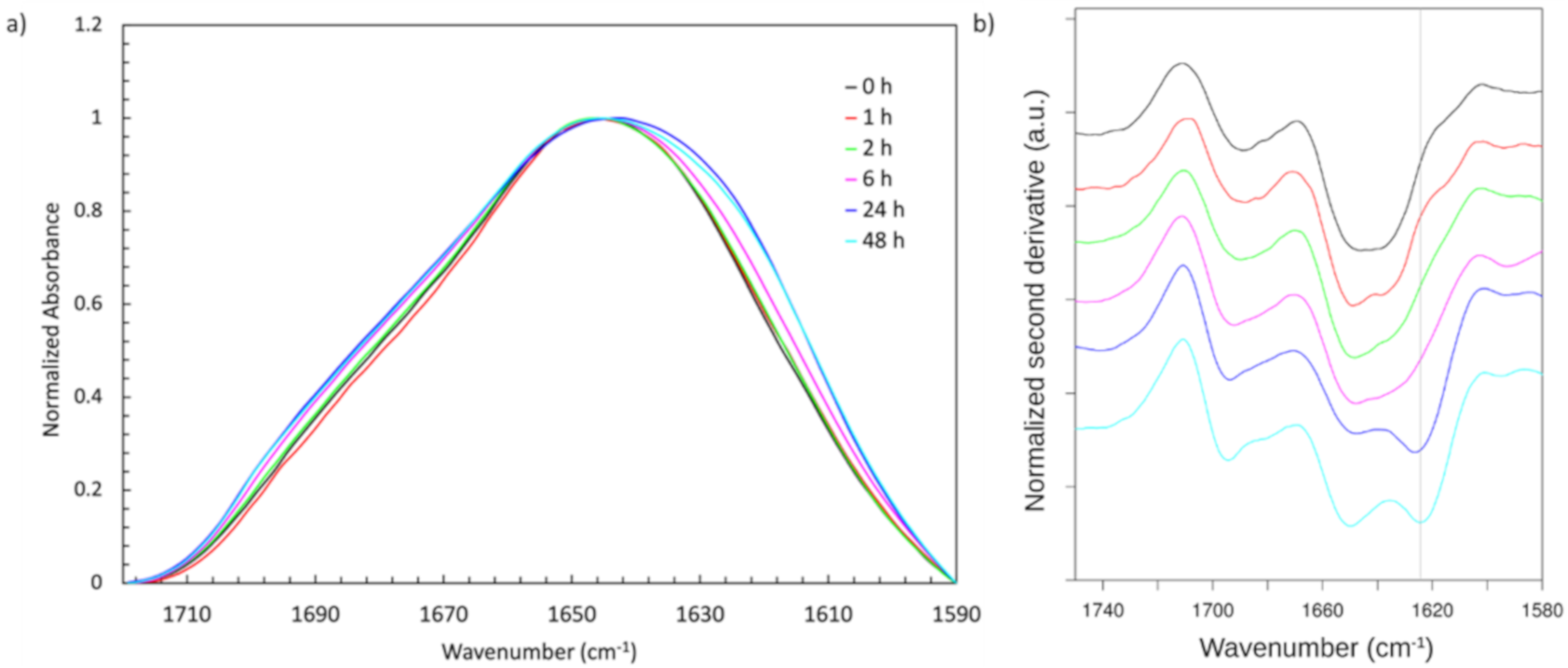 Molecules 25 03248 g002