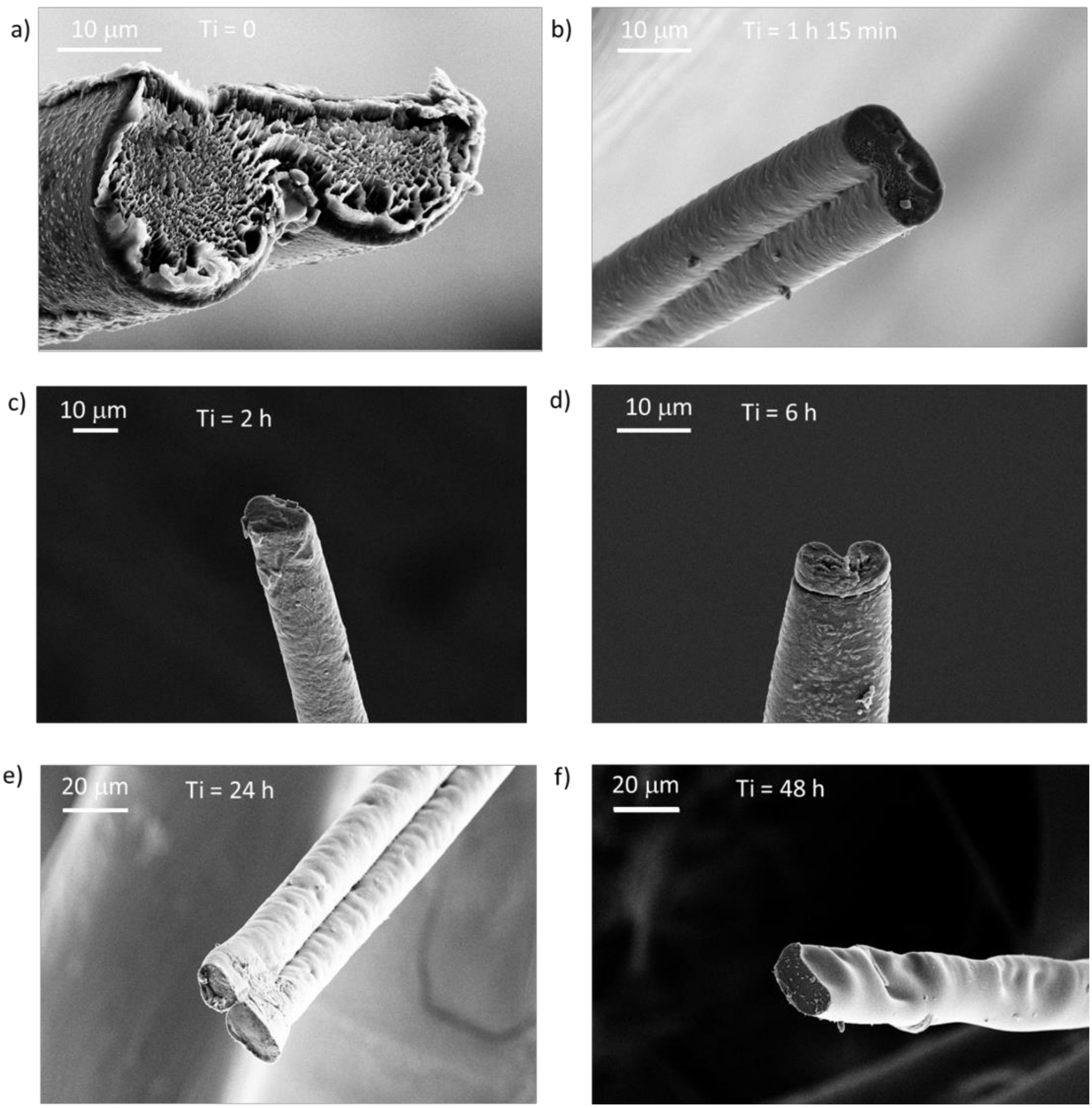 Molecules 25 03248 g005