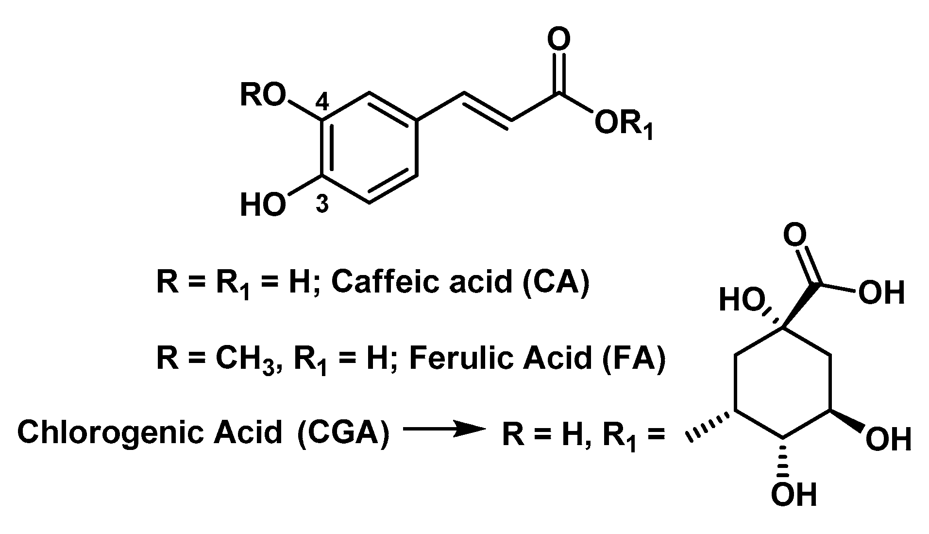Molecules 25 03254 g005 Molecules 25 03254 g005