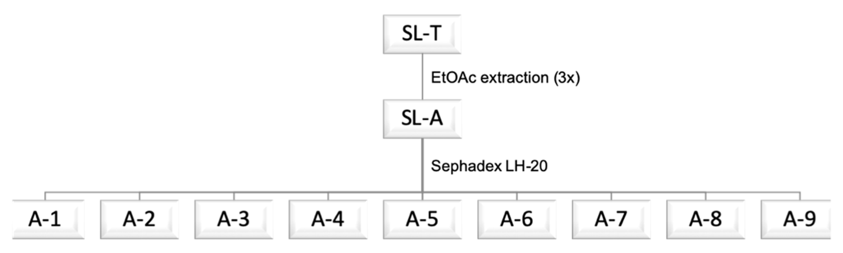 Molecules 25 03257 g001
