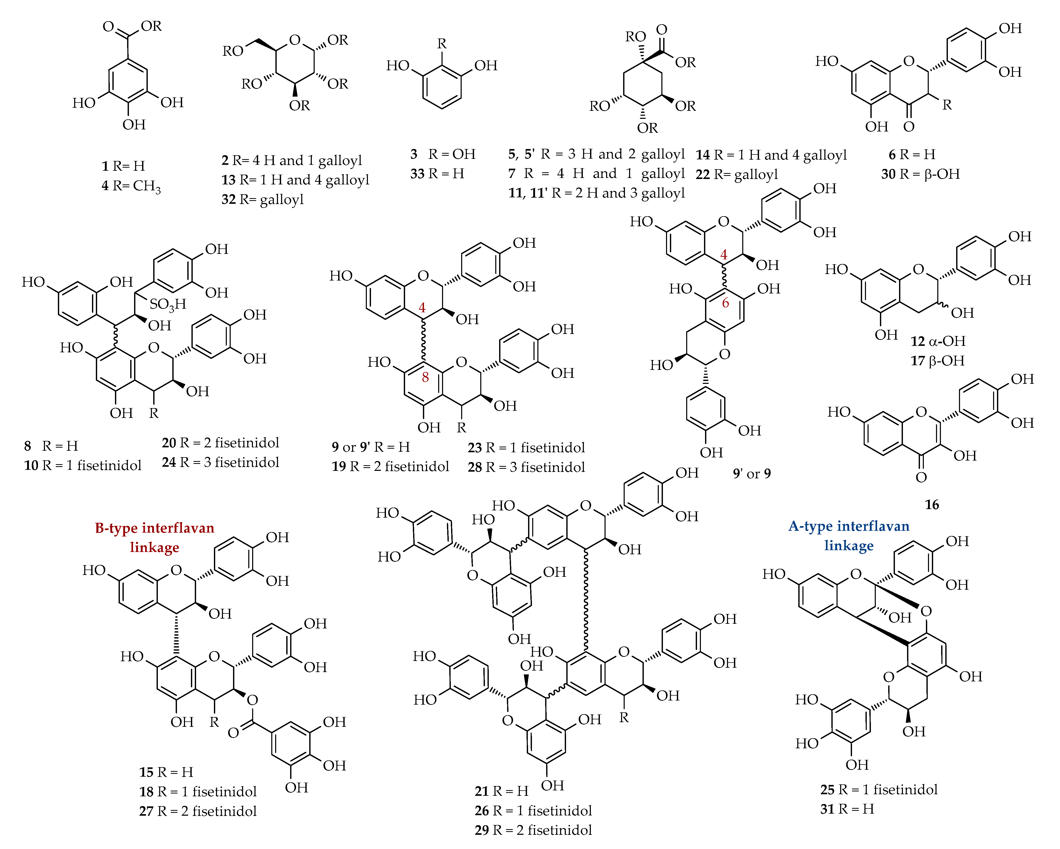 Molecules 25 03257 g005