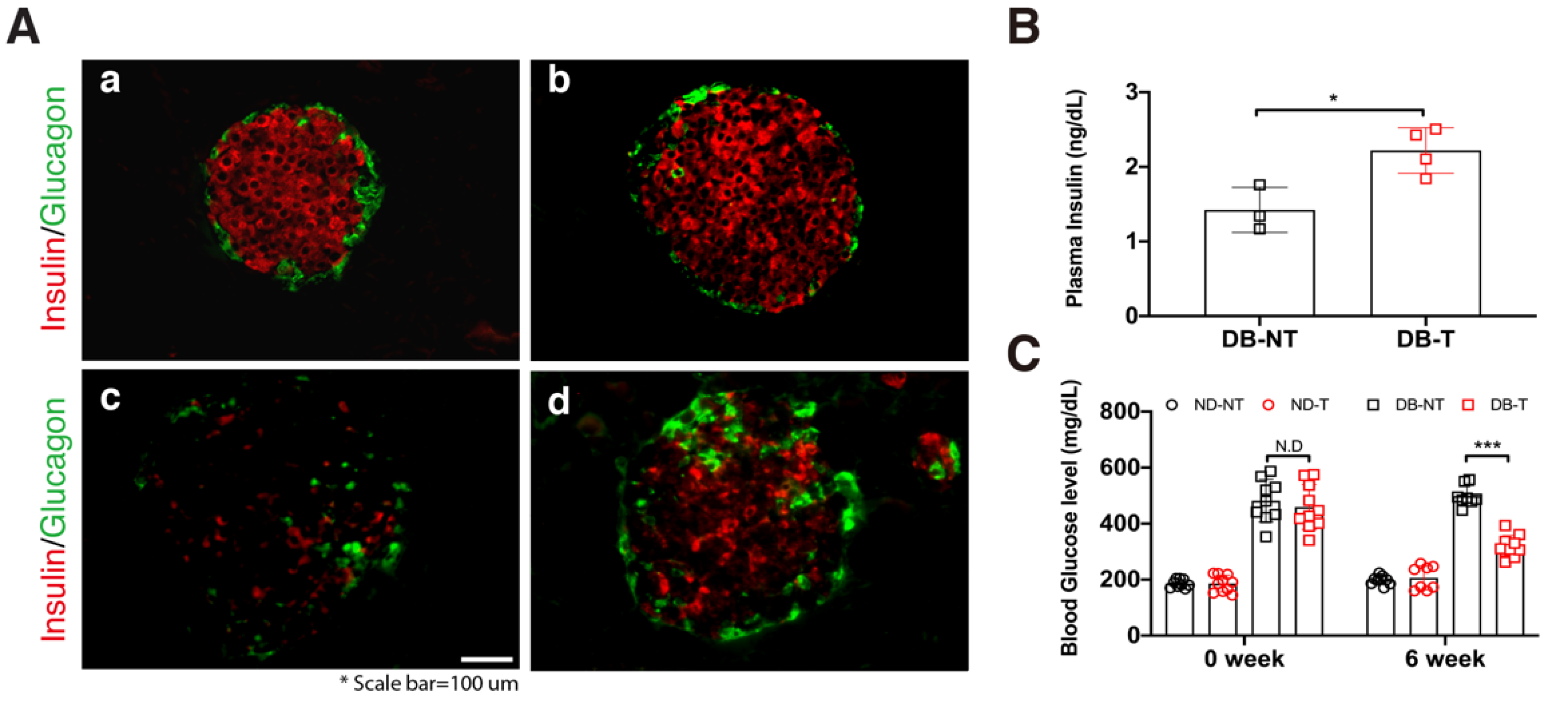 Molecules 25 03259 g001