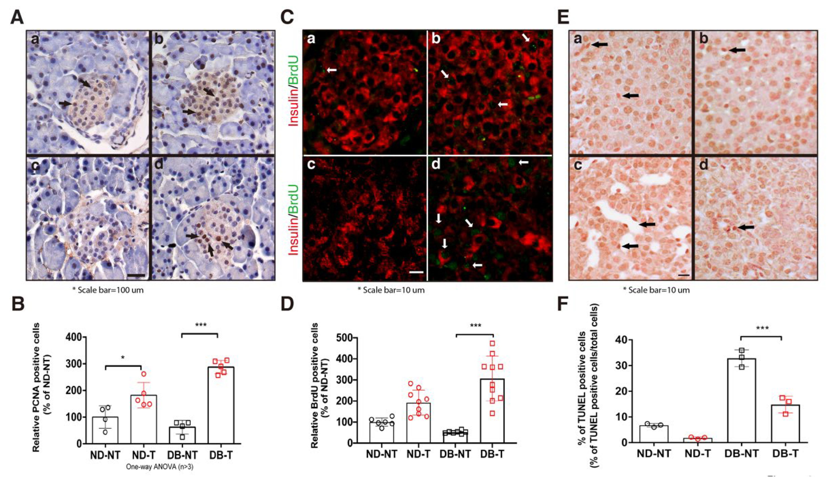 Molecules 25 03259 g002