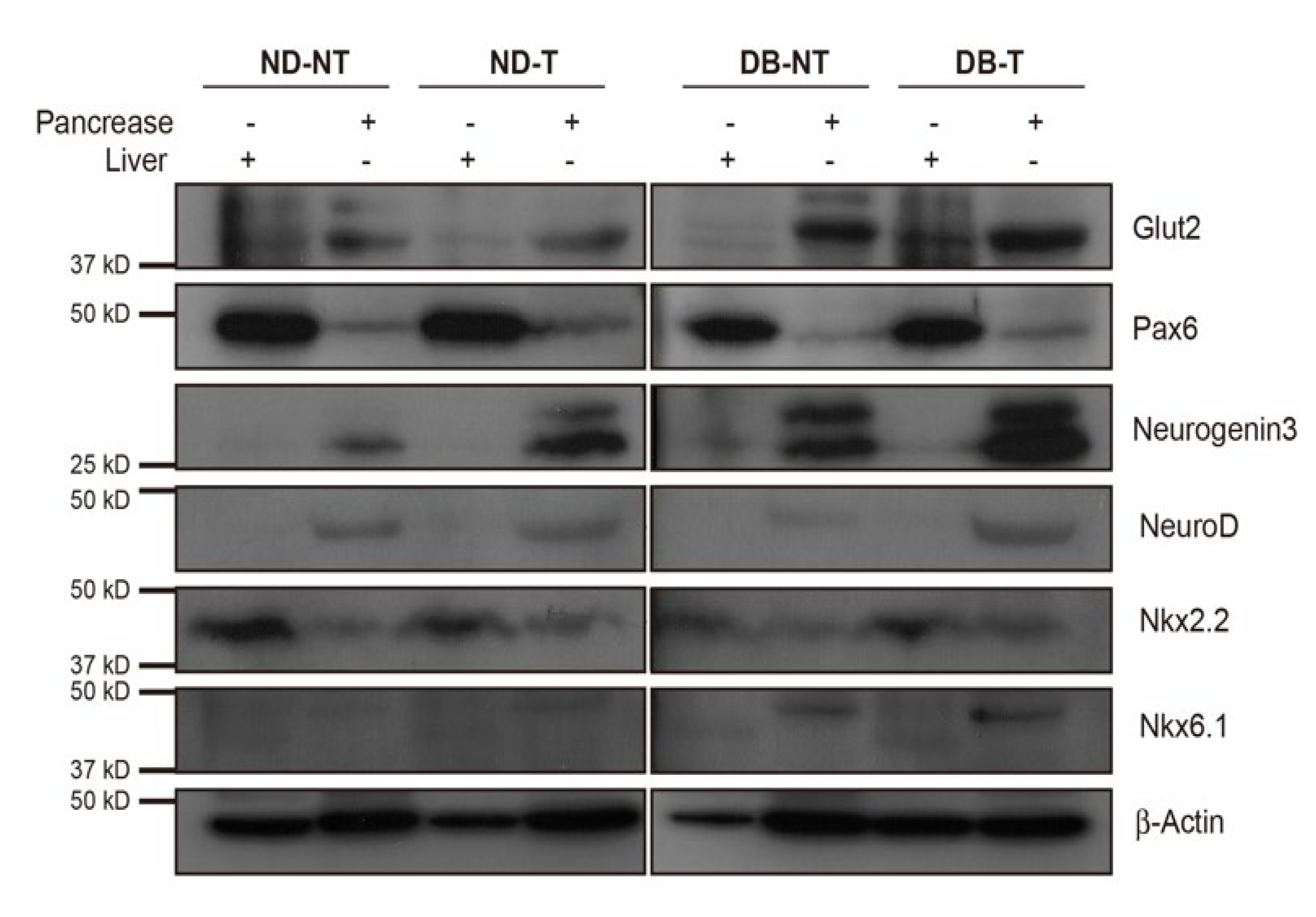 Molecules 25 03259 g004