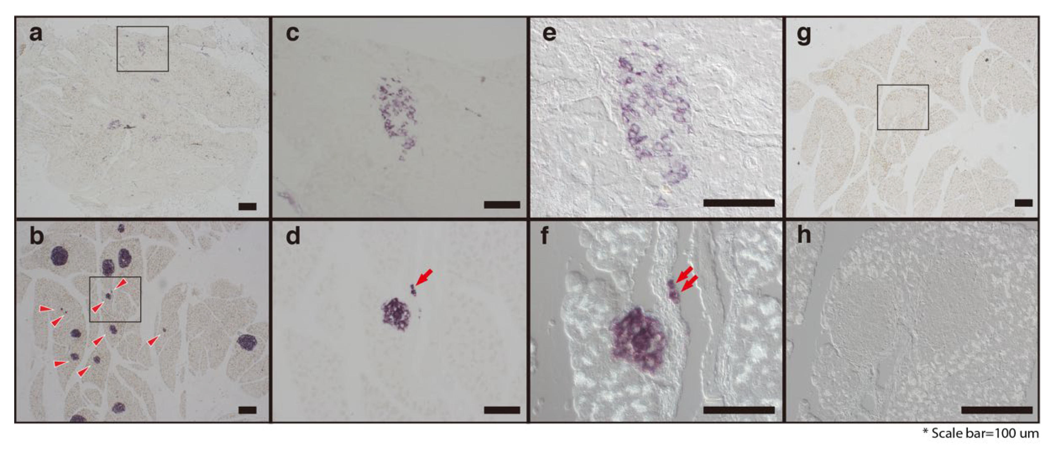 Molecules 25 03259 g005