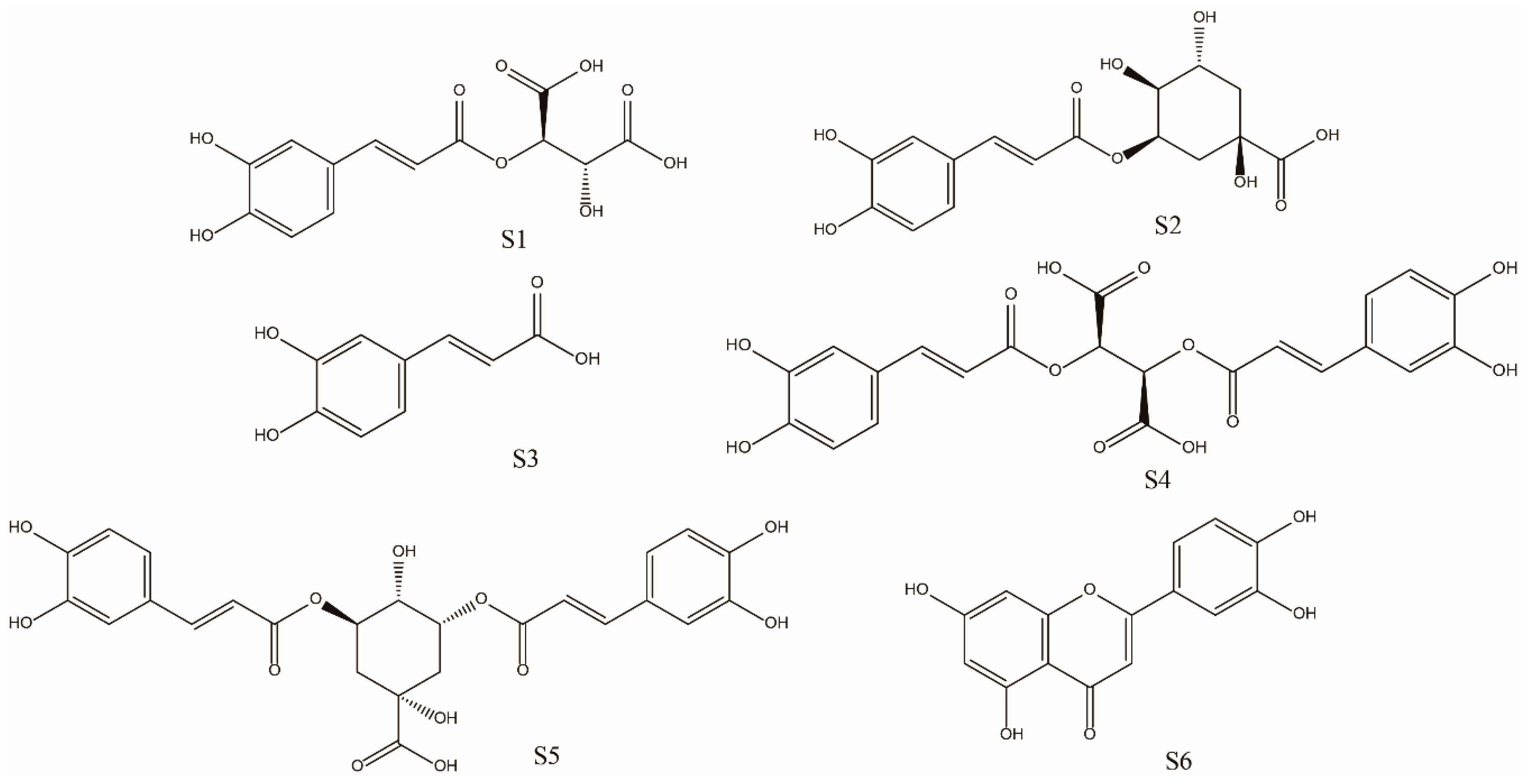 Molecules 25 03260 g005 Molecules 25 03260 g005