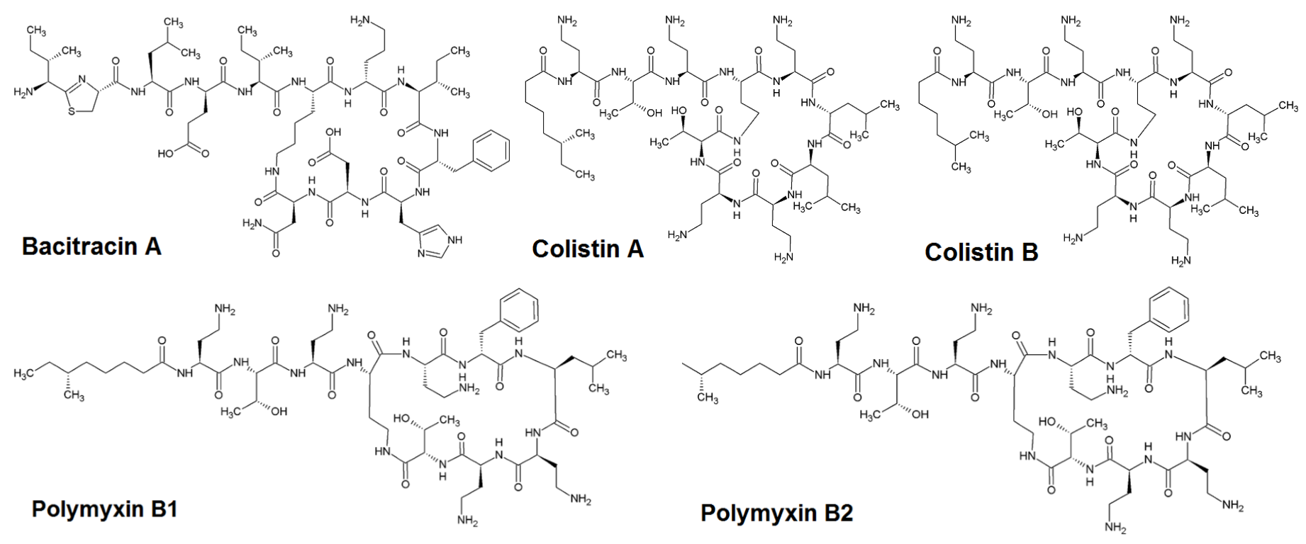 Molecules 25 03261 g001 550