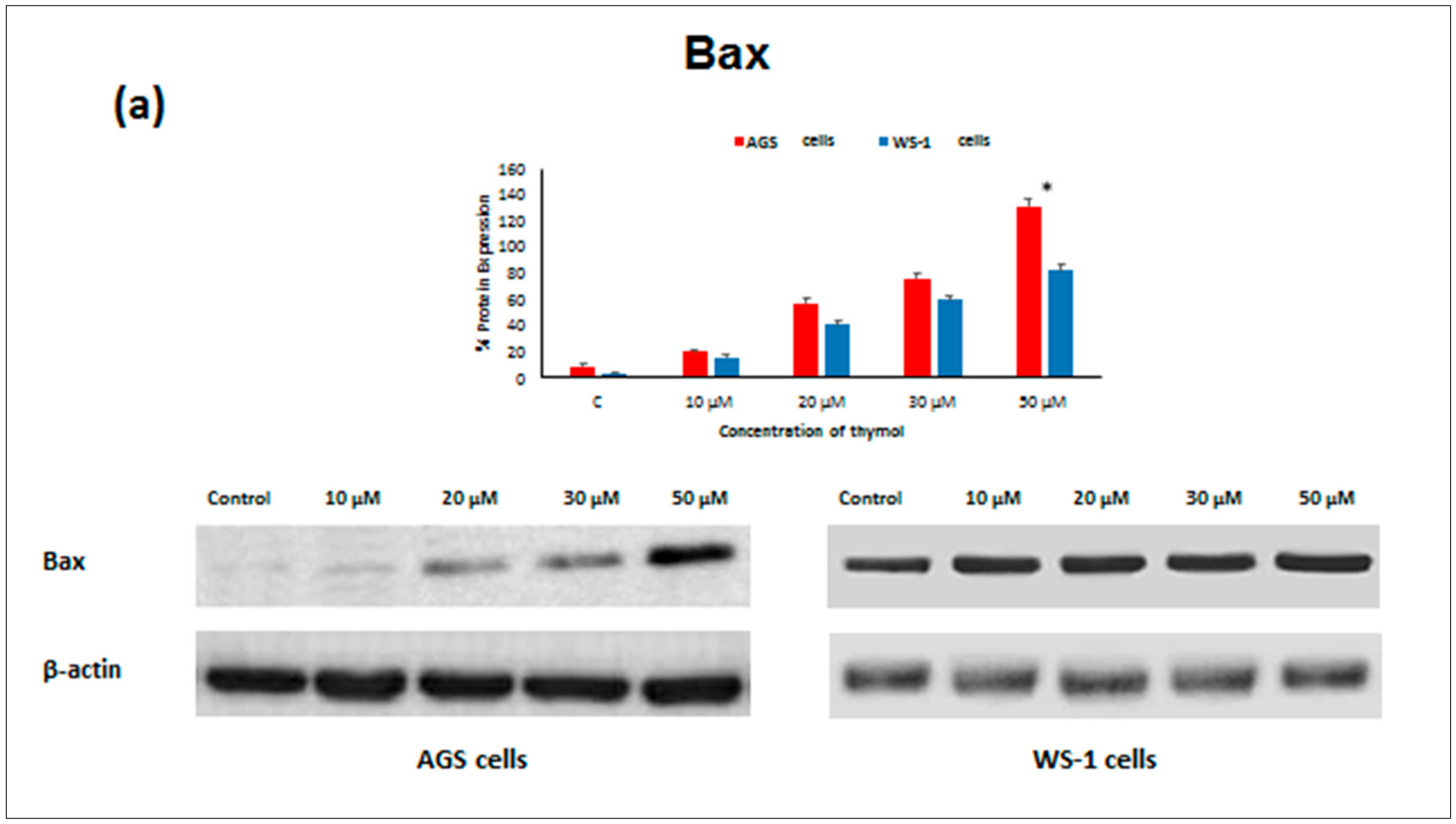 Molecules 25 03270 g005a