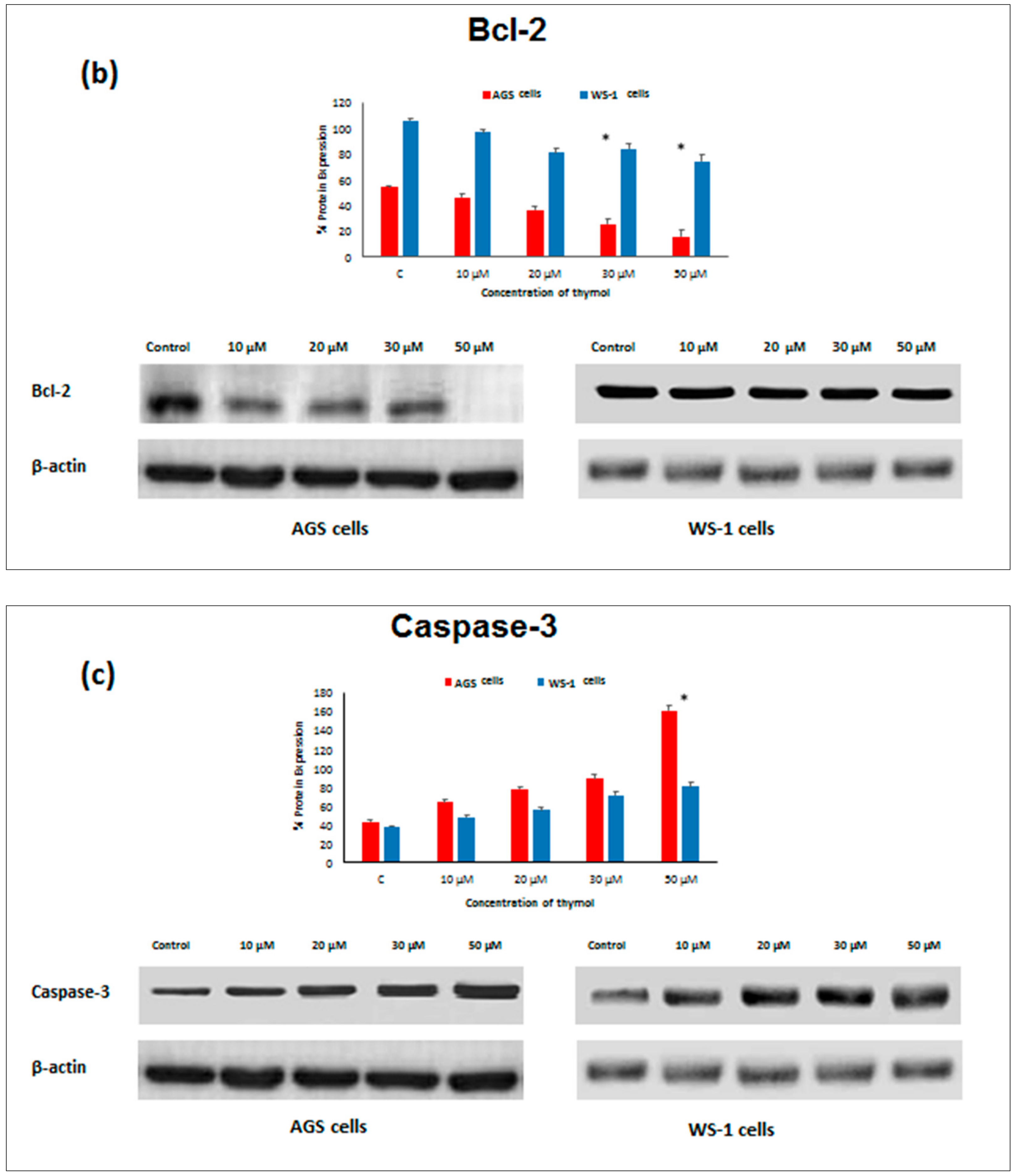 Molecules 25 03270 g005b
